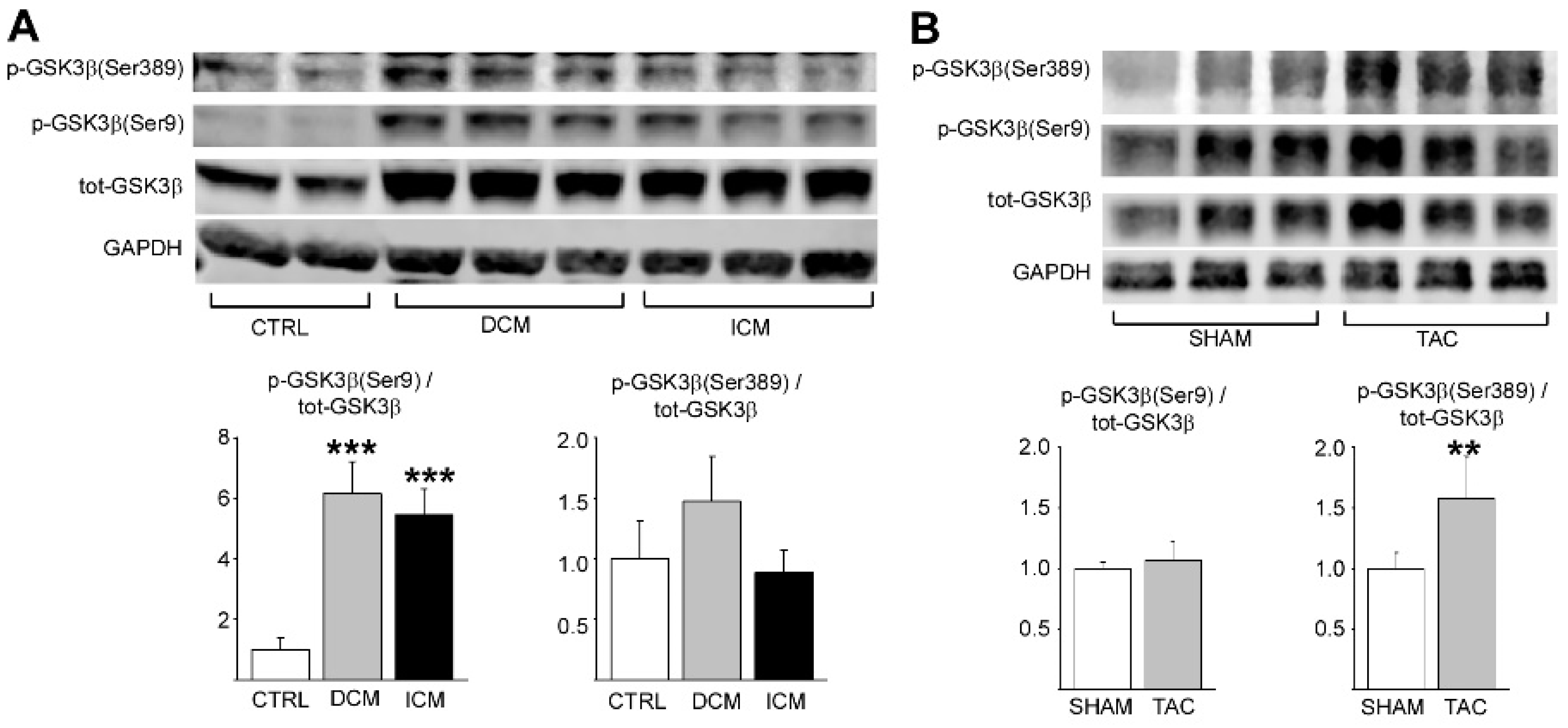 Ijms 22 13586 g001 550