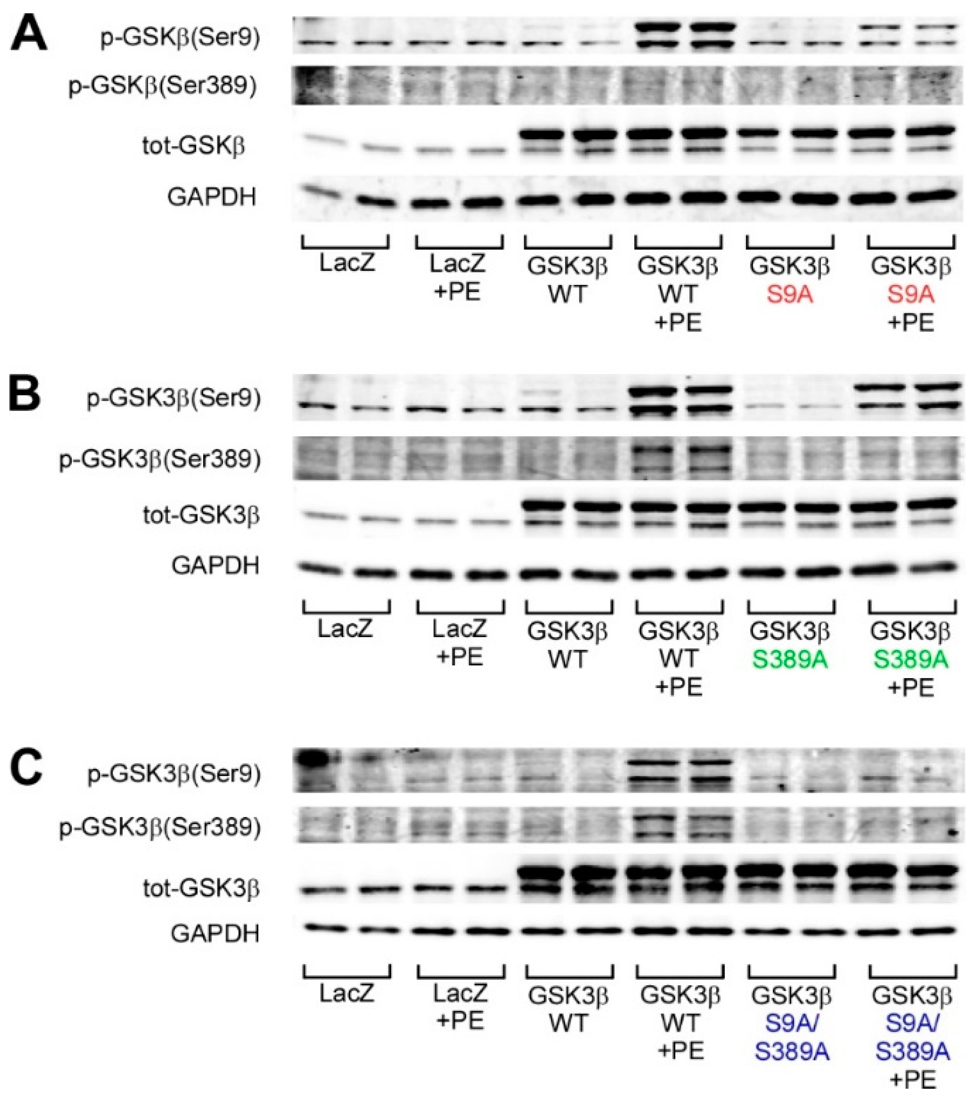 Ijms 22 13586 g002 550
