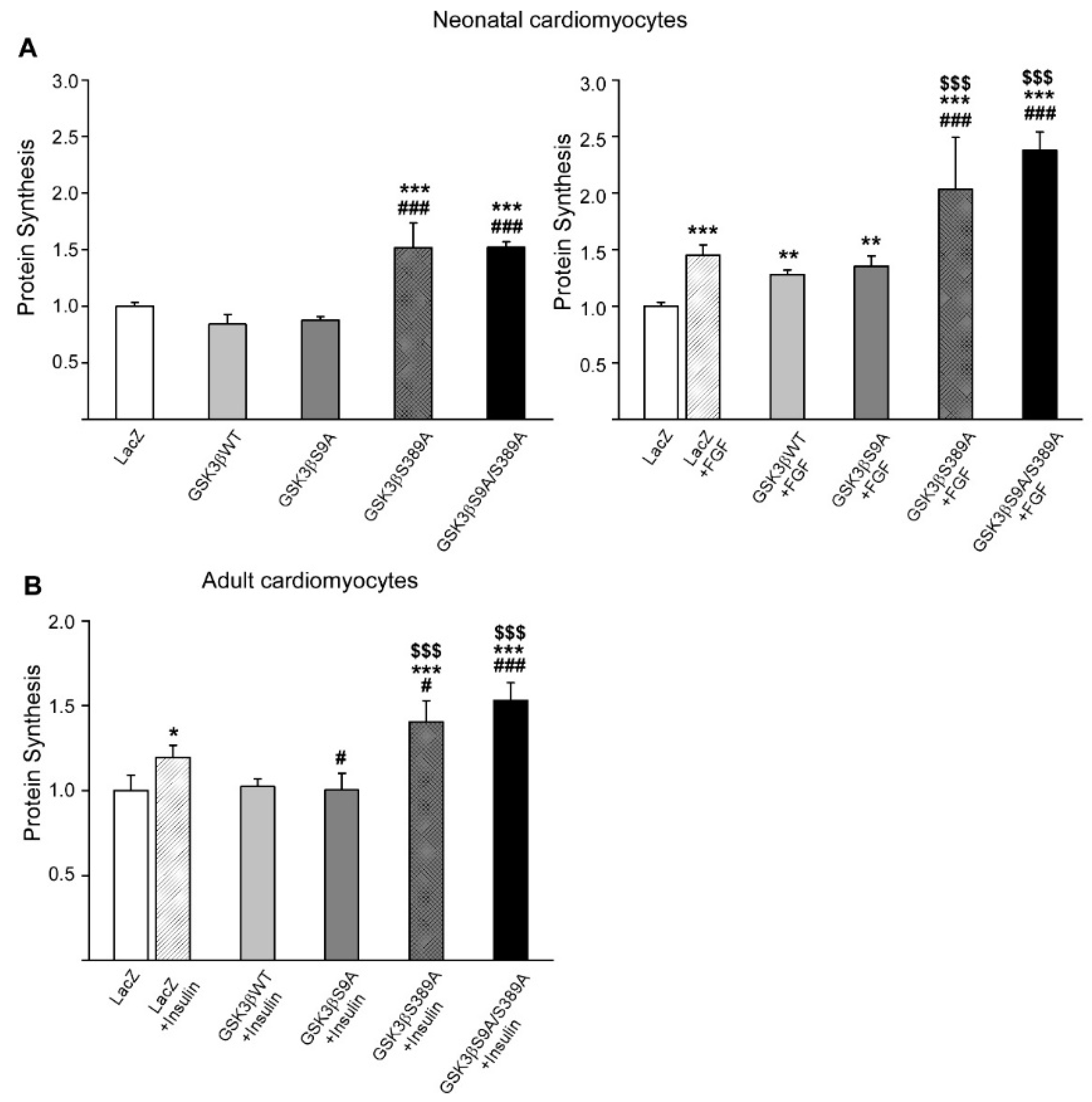 Ijms 22 13586 g004 550