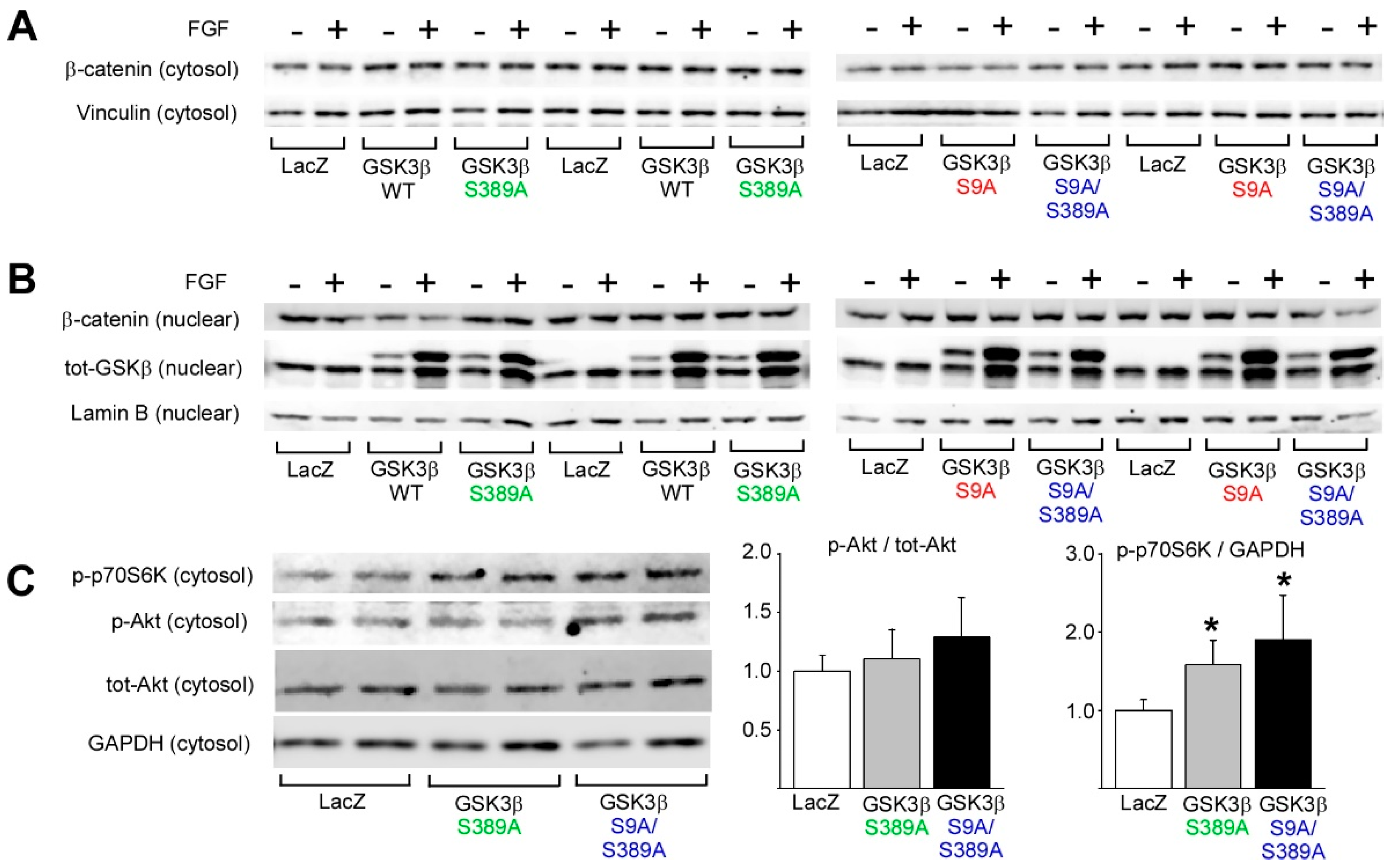 Ijms 22 13586 g005 550