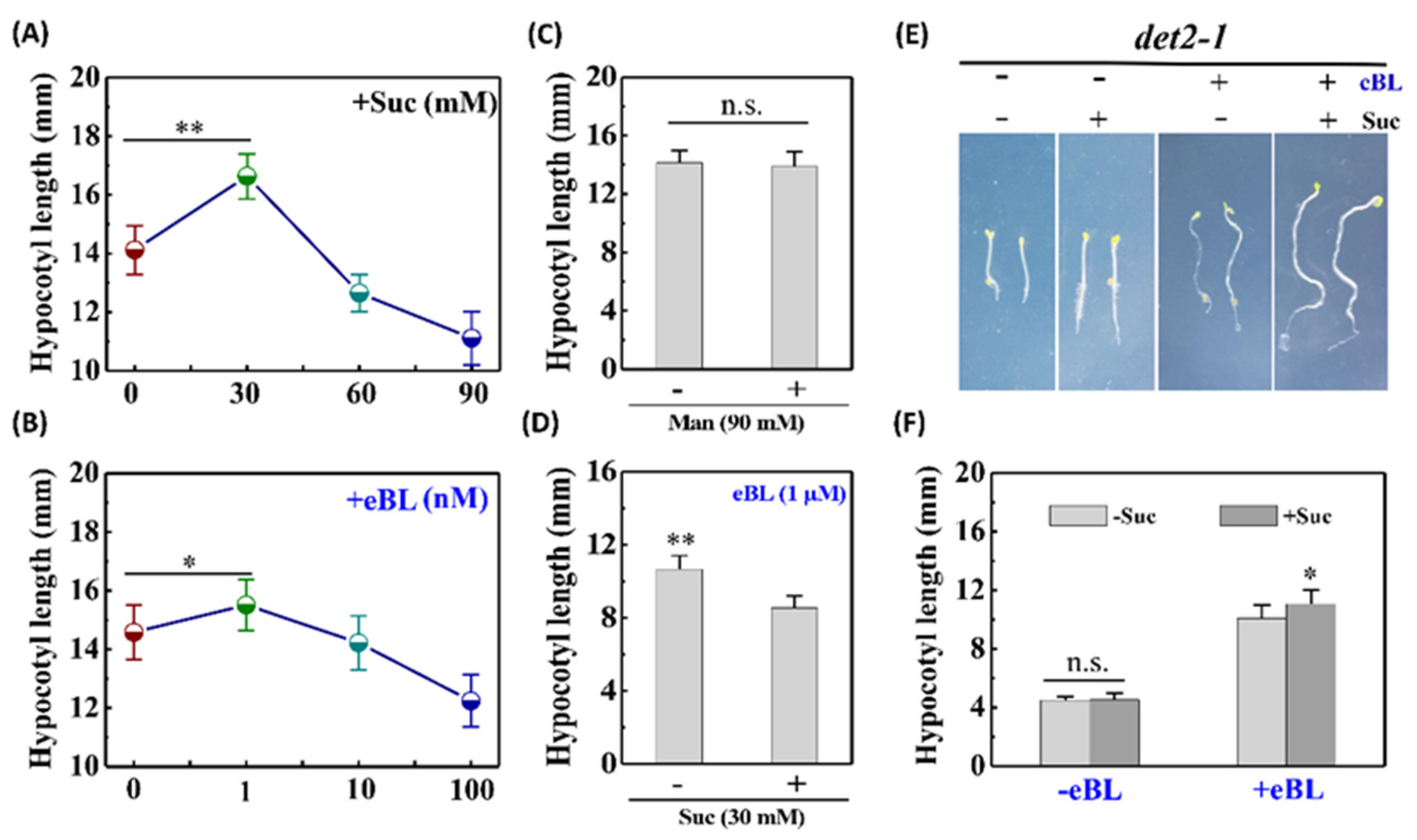 Ijms 22 13588 g001 550