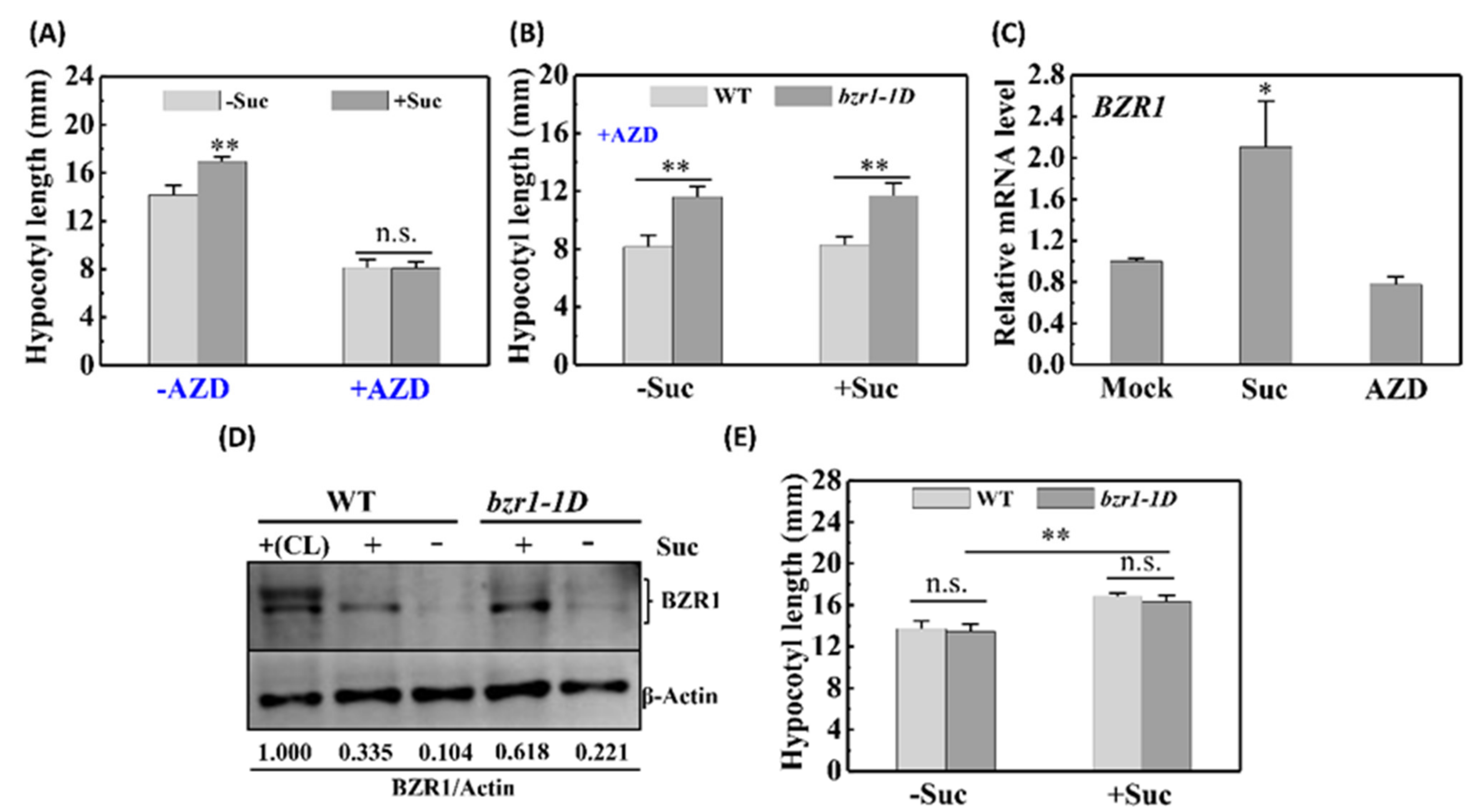 Ijms 22 13588 g002 550