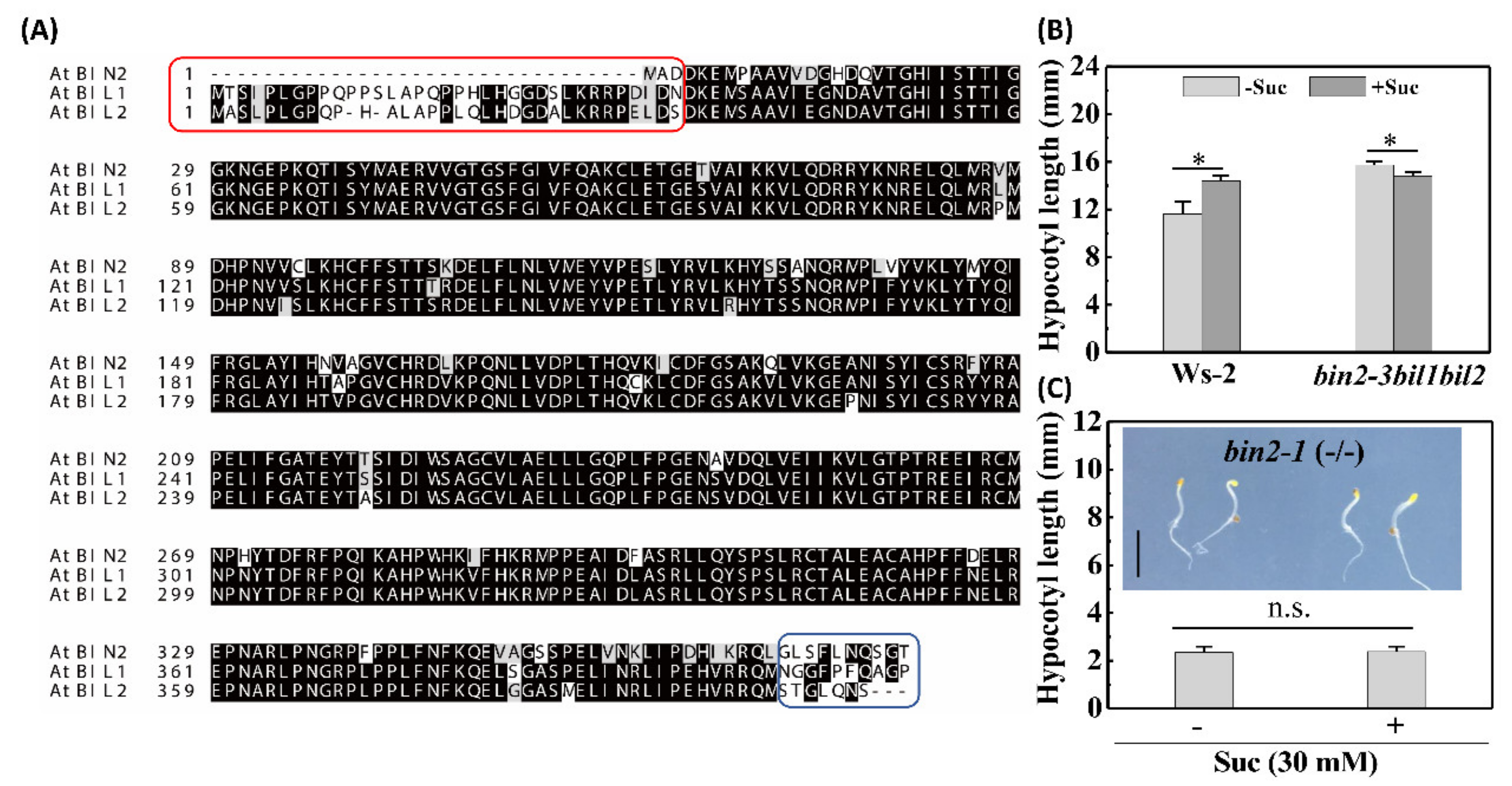 Ijms 22 13588 g003 550