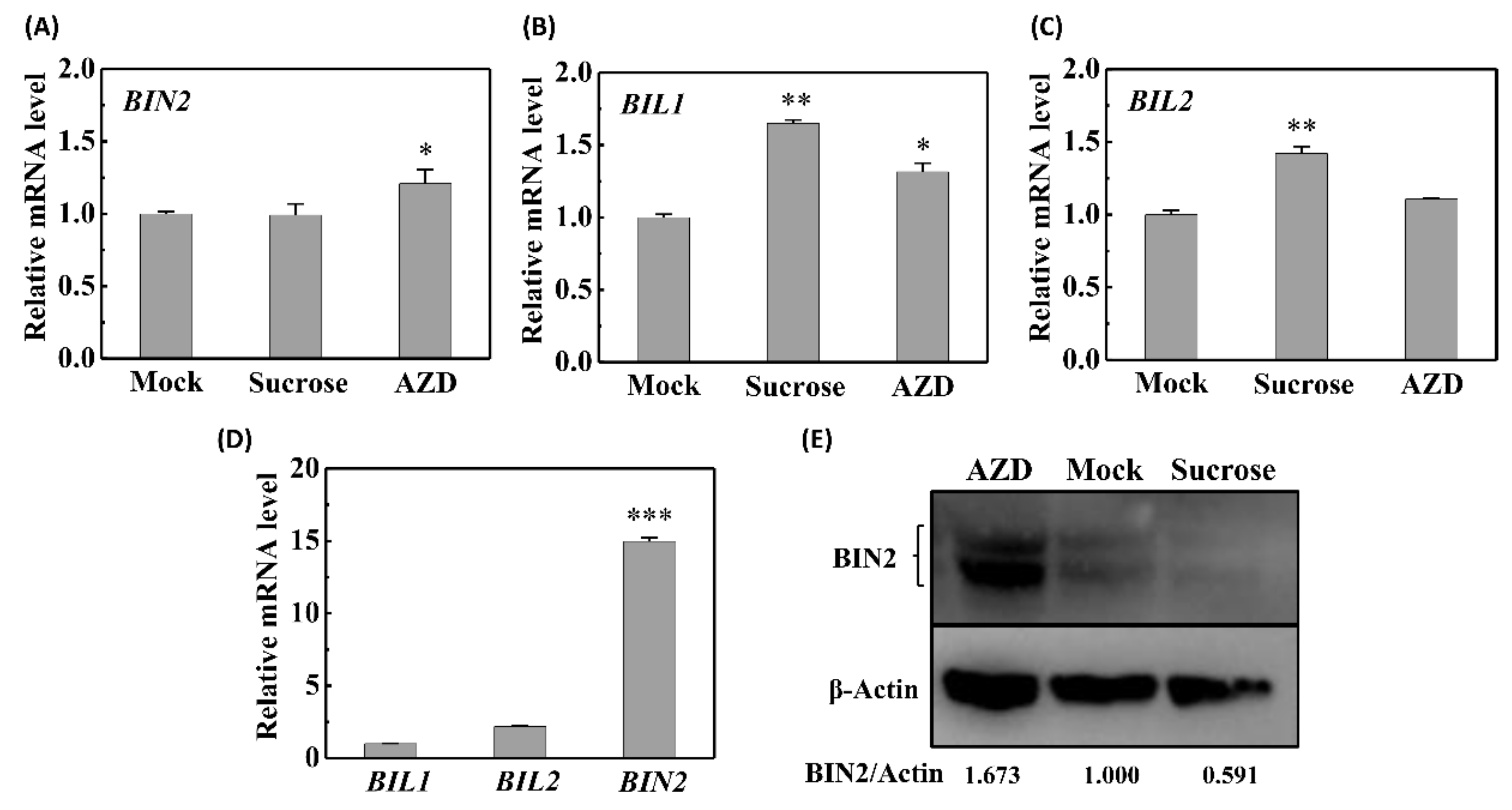 Ijms 22 13588 g004 550