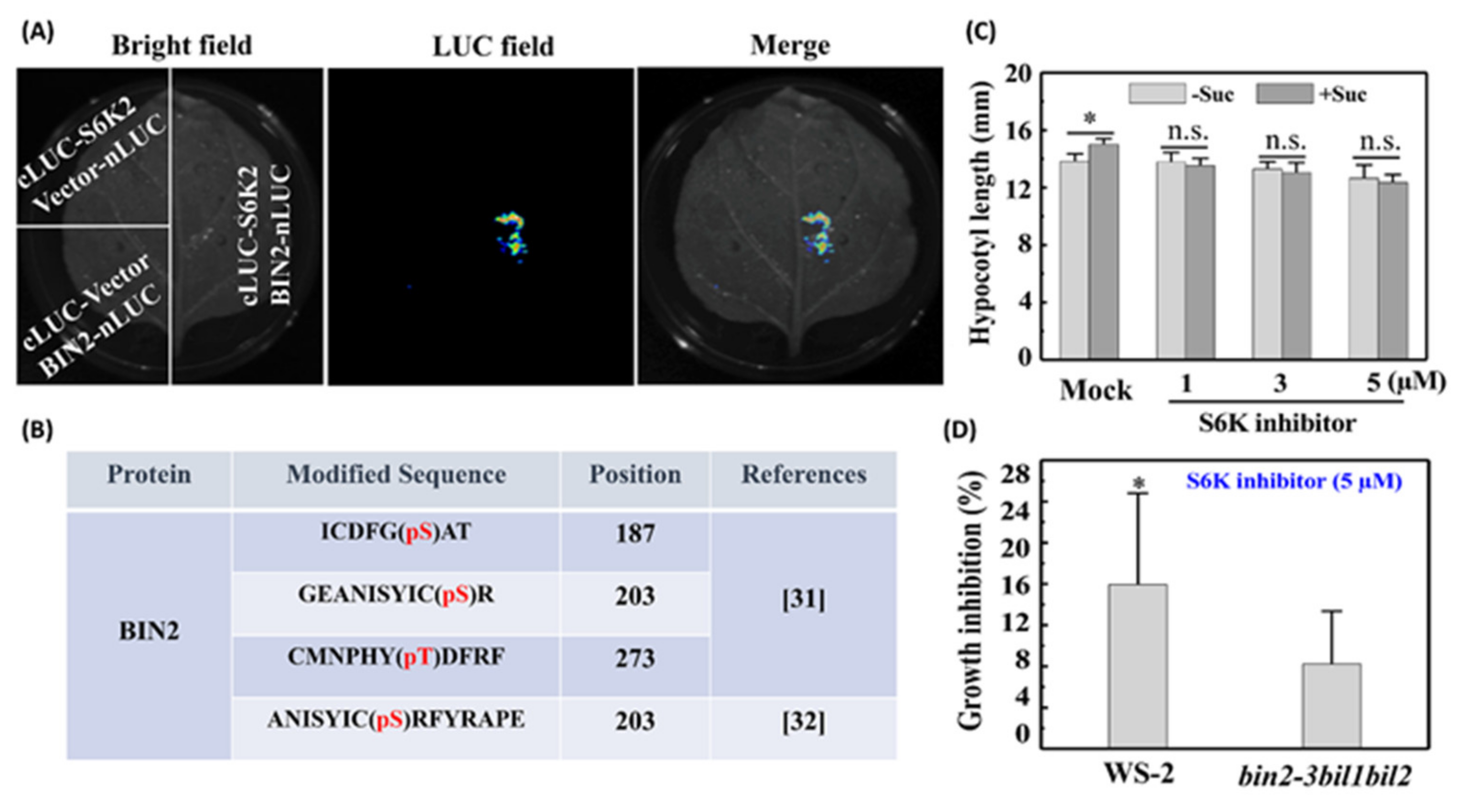 Ijms 22 13588 g005 550