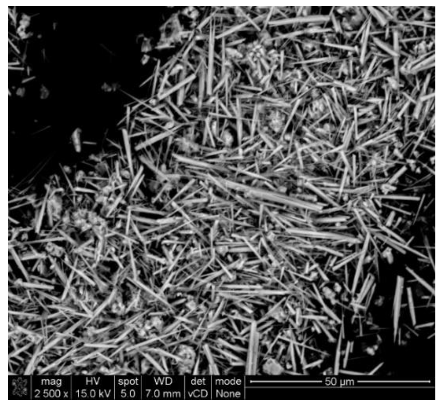 Ijms 22 13589 g001 550