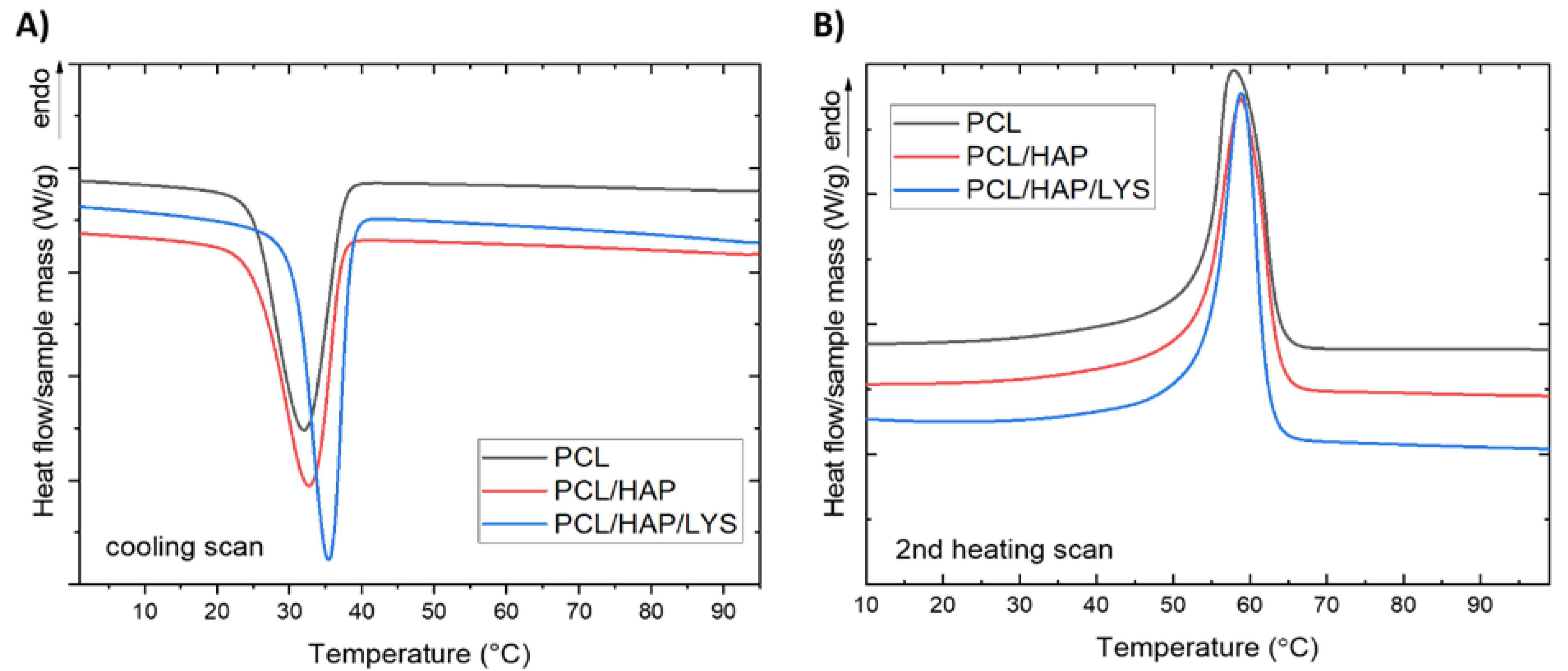 Ijms 22 13589 g005 550