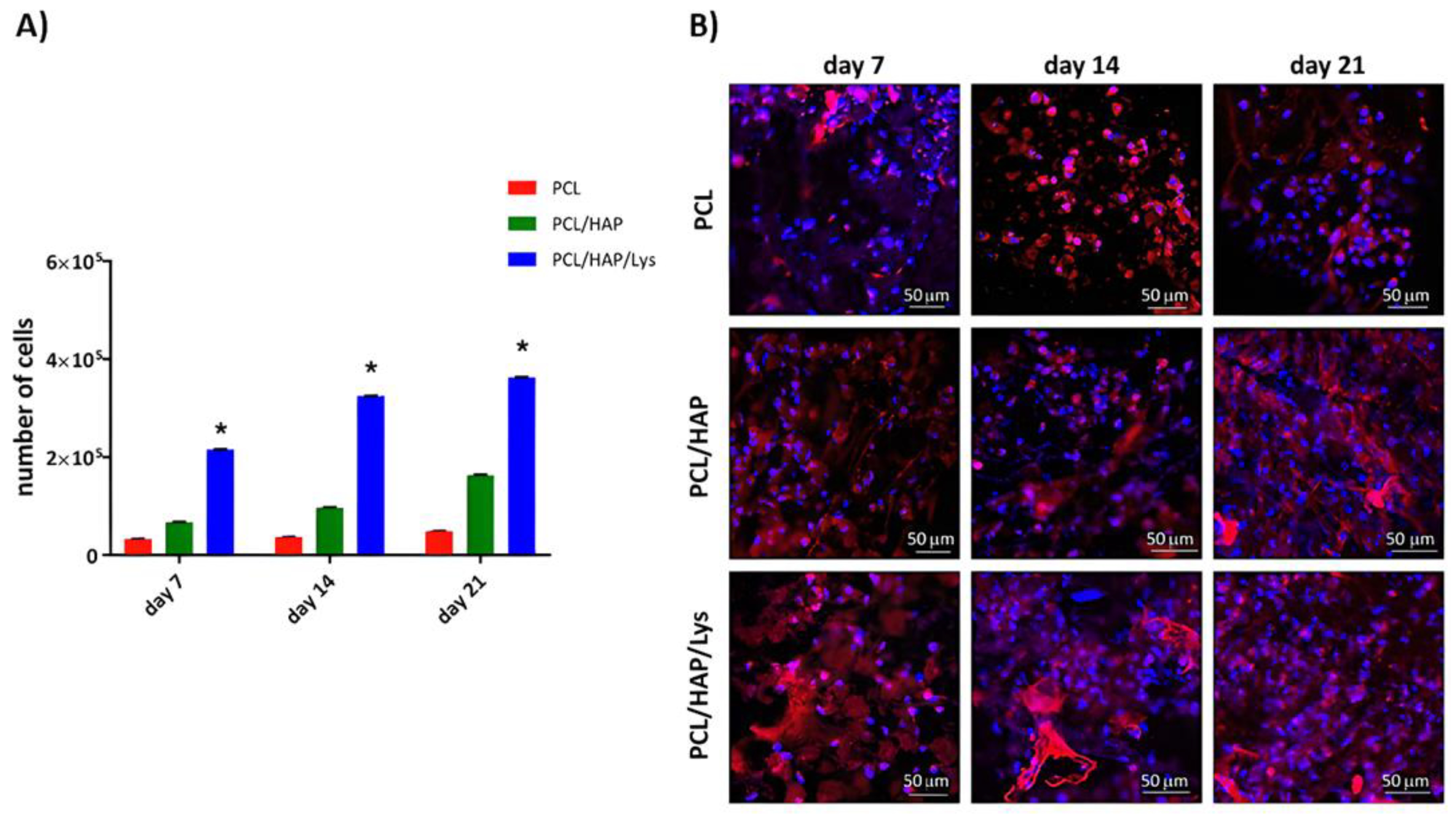 Ijms 22 13589 g007 550