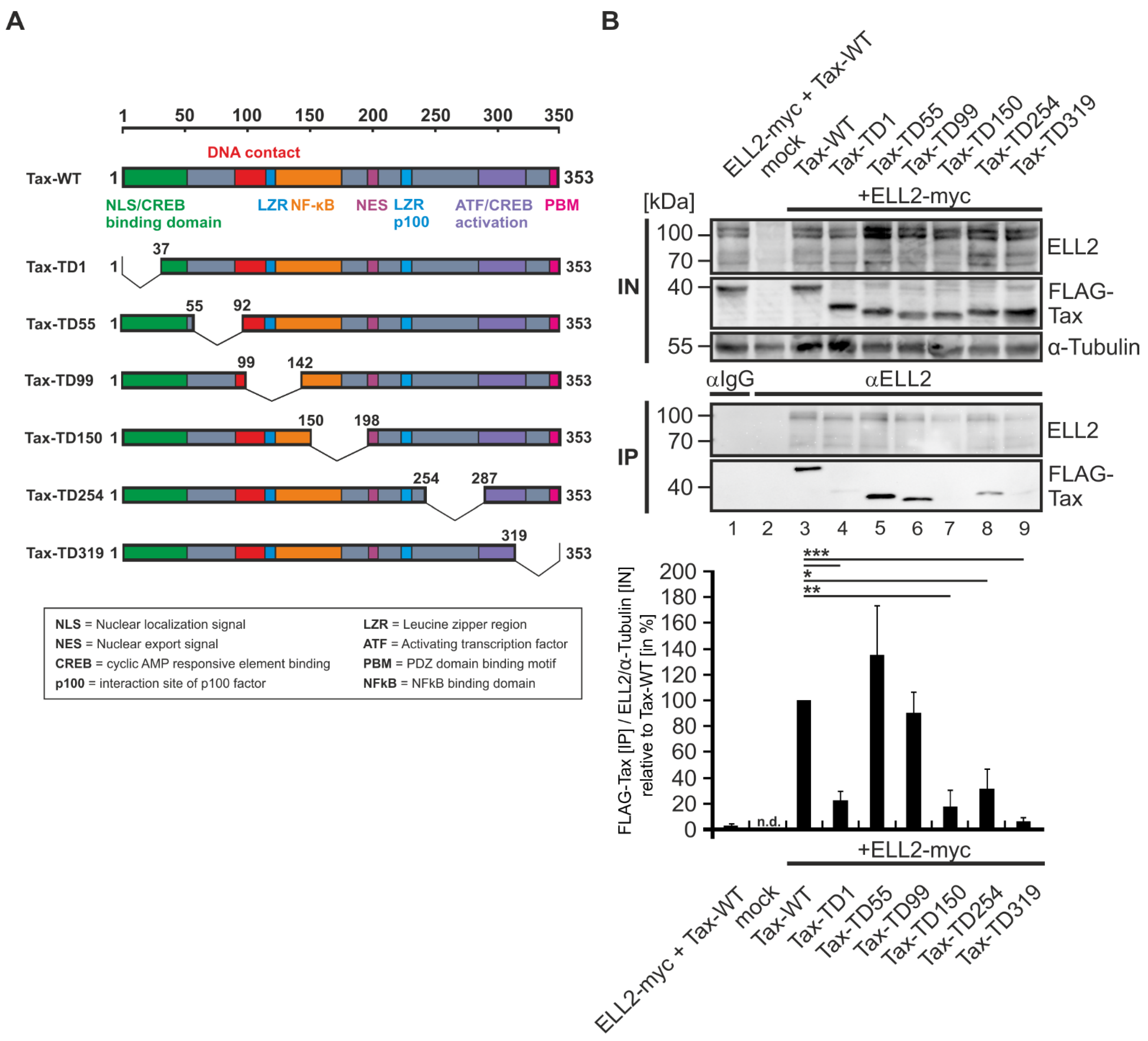Ijms 22 13597 g003 Ijms 22 13597 g003