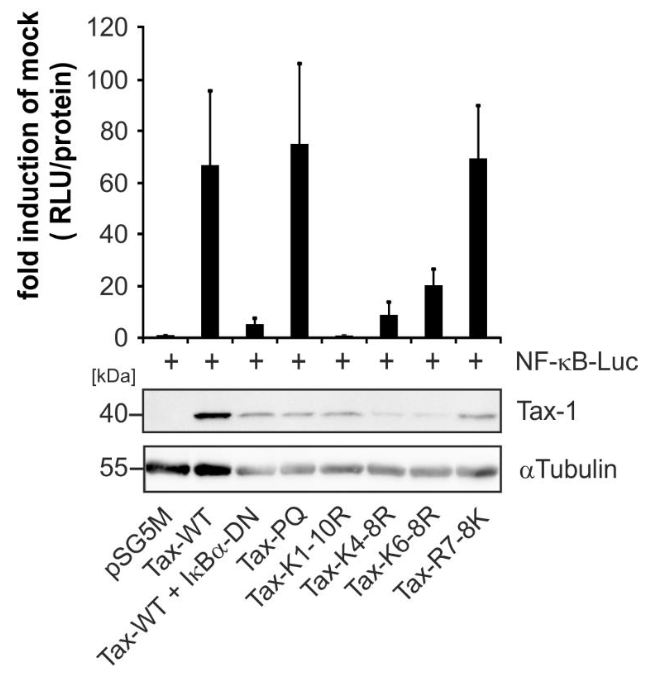 Ijms 22 13597 g0a1 Ijms 22 13597 g0a1