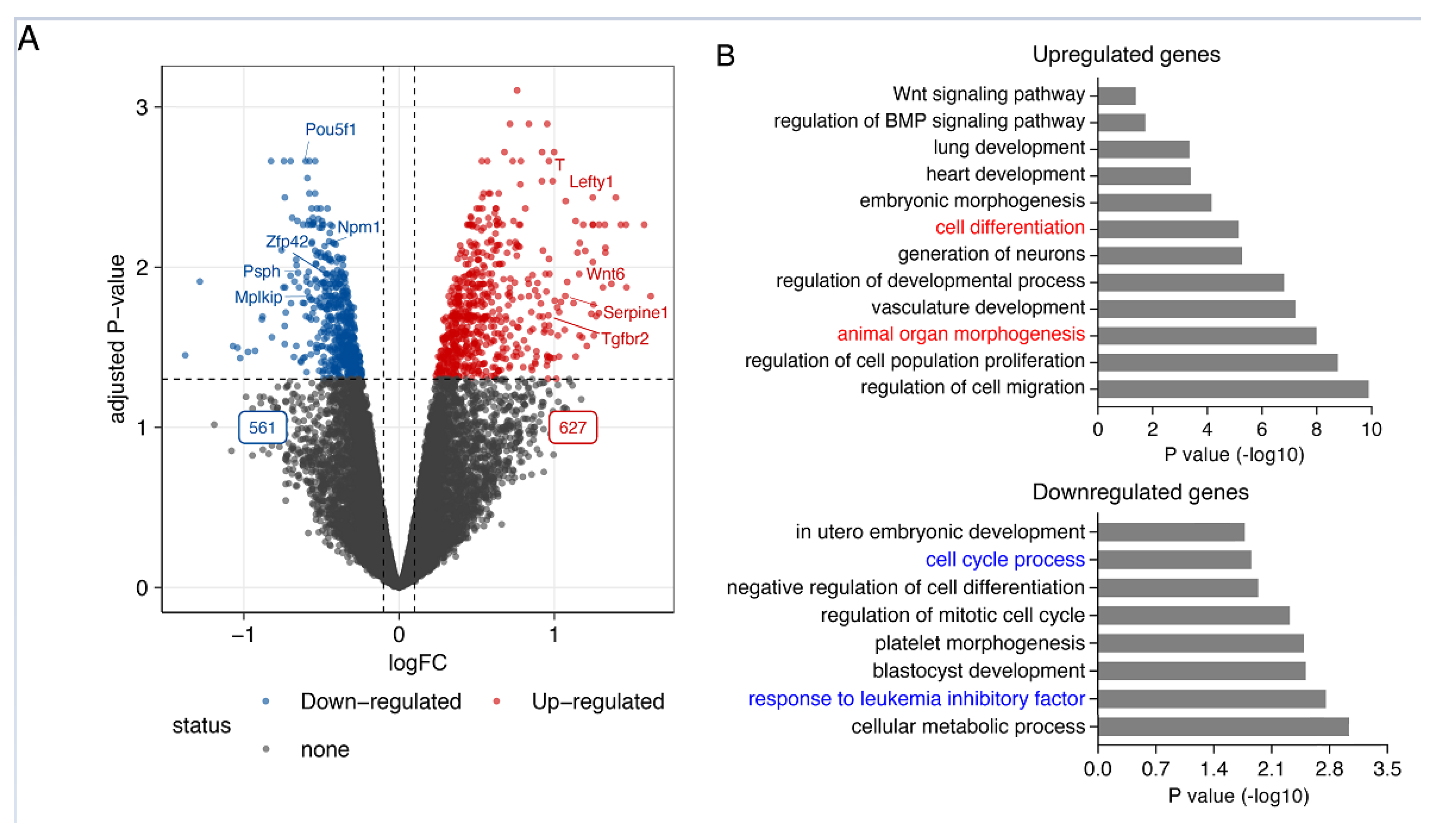 Ijms 22 13598 g001 550