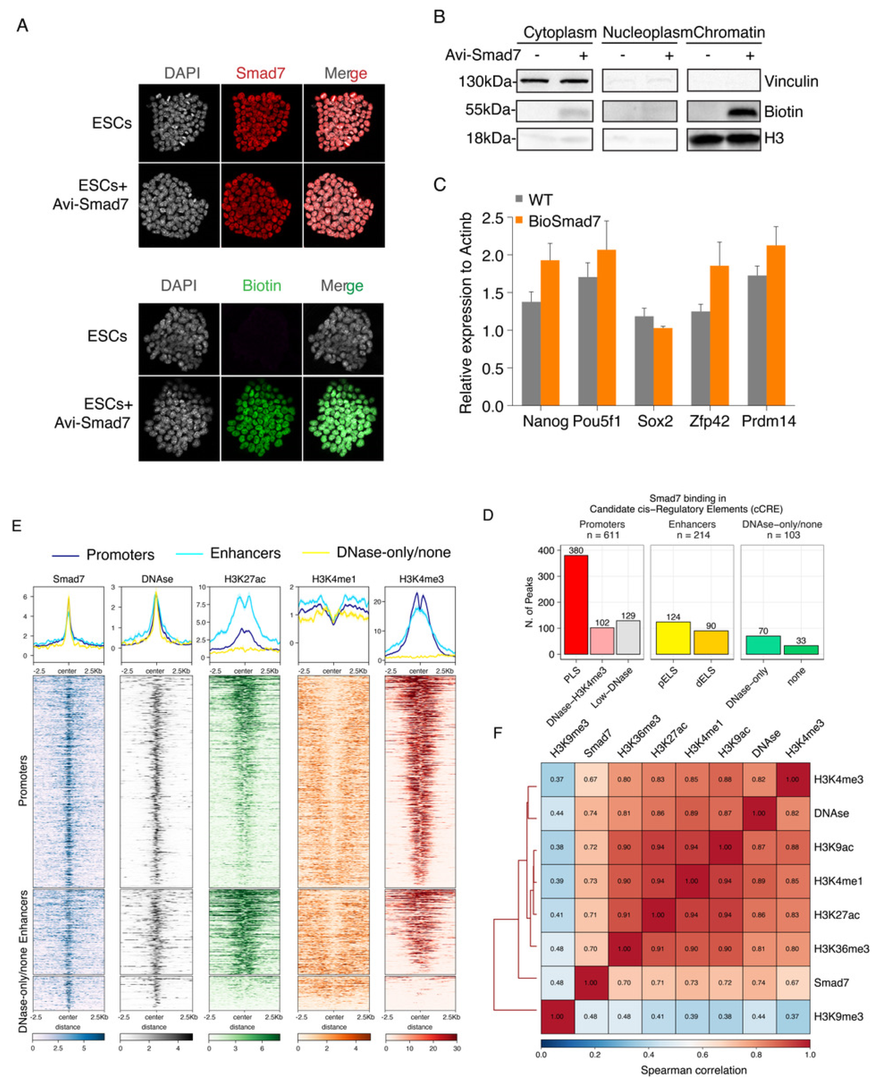 Ijms 22 13598 g002 550