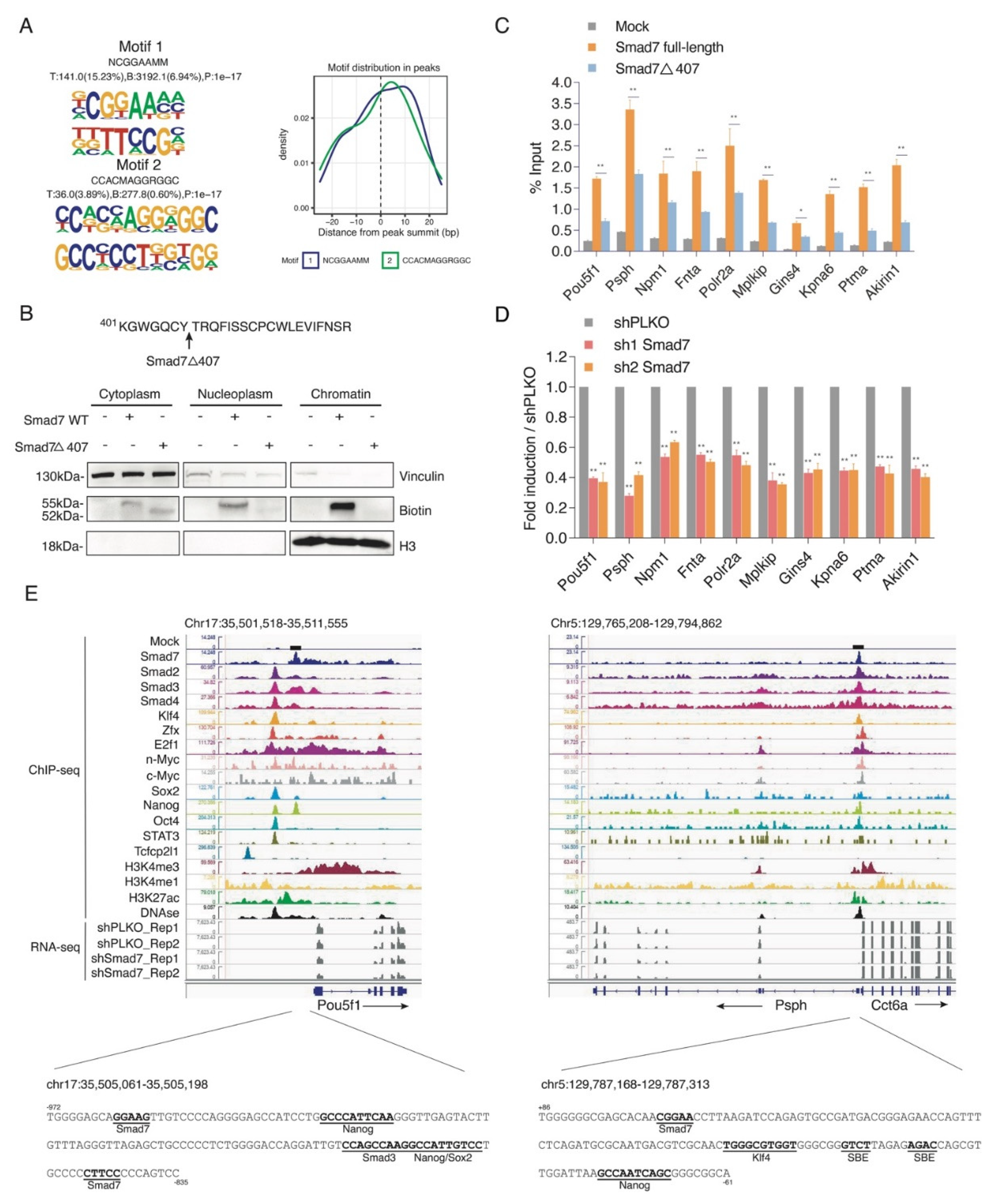 Ijms 22 13598 g003 550