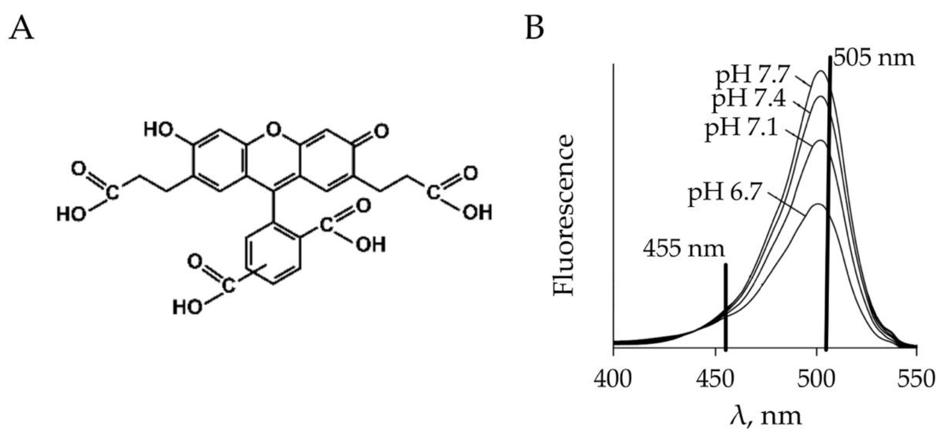 Ijms 22 13601 g011 550