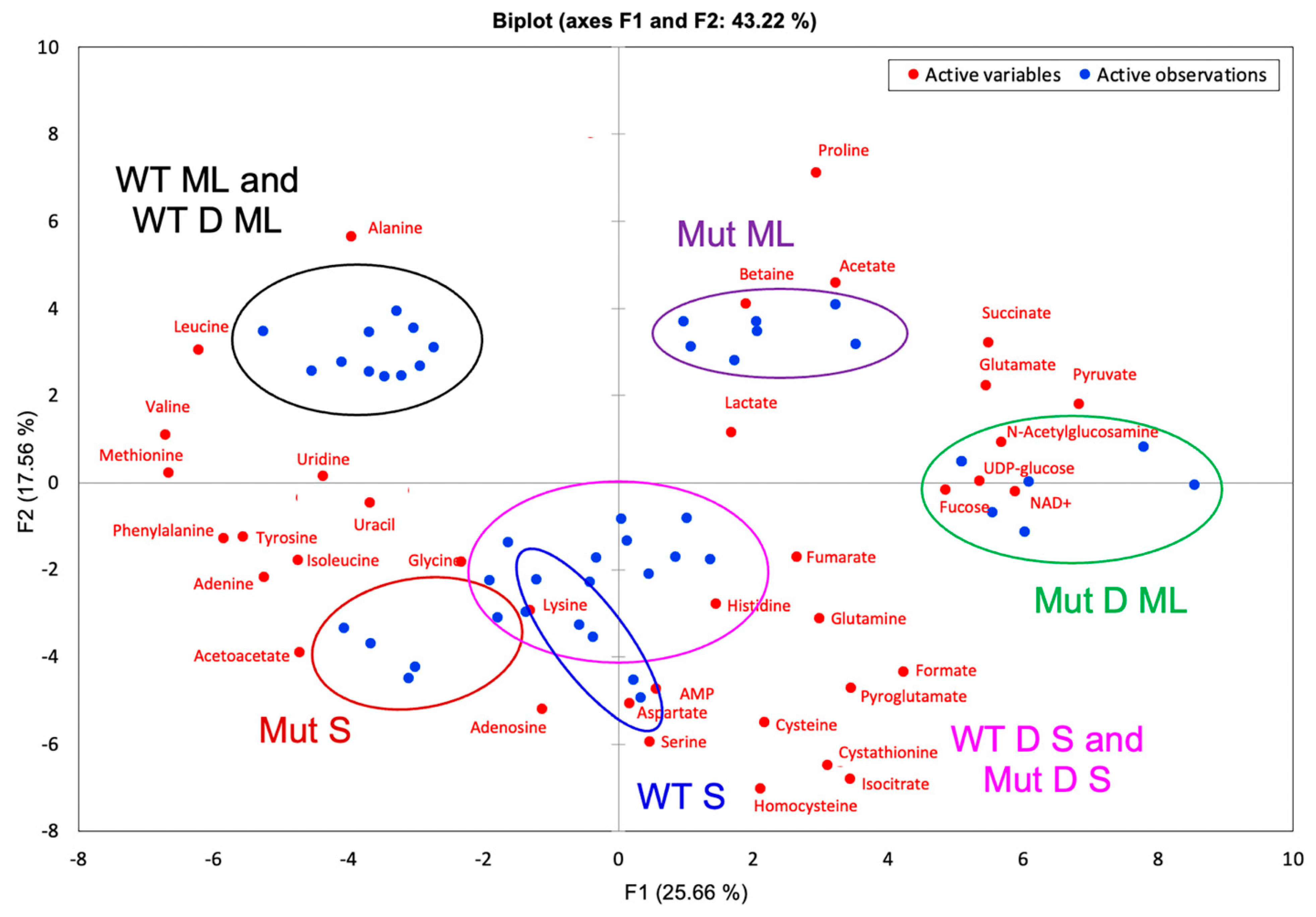 Ijms 22 13606 g004 550