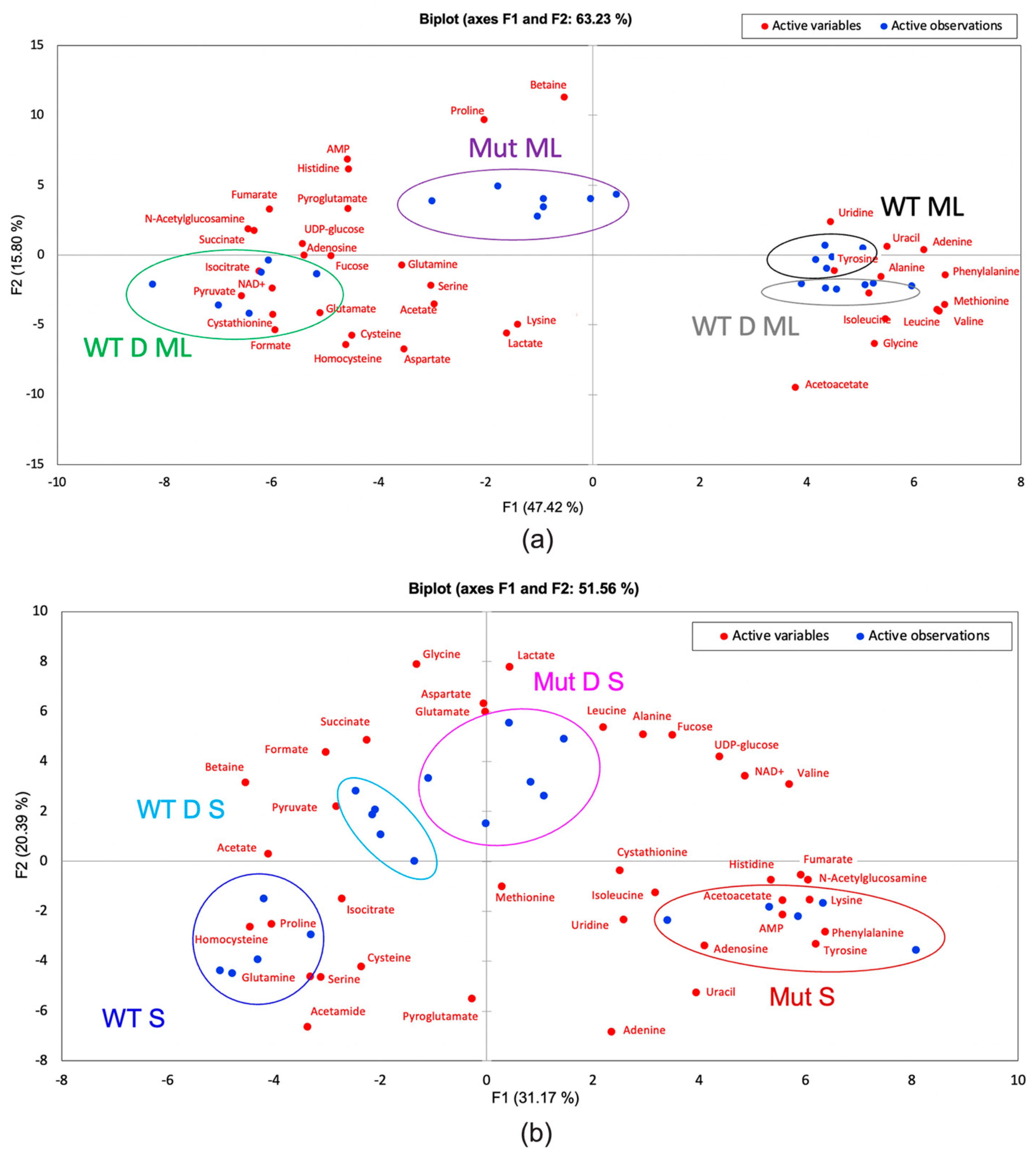 Ijms 22 13606 g005 550