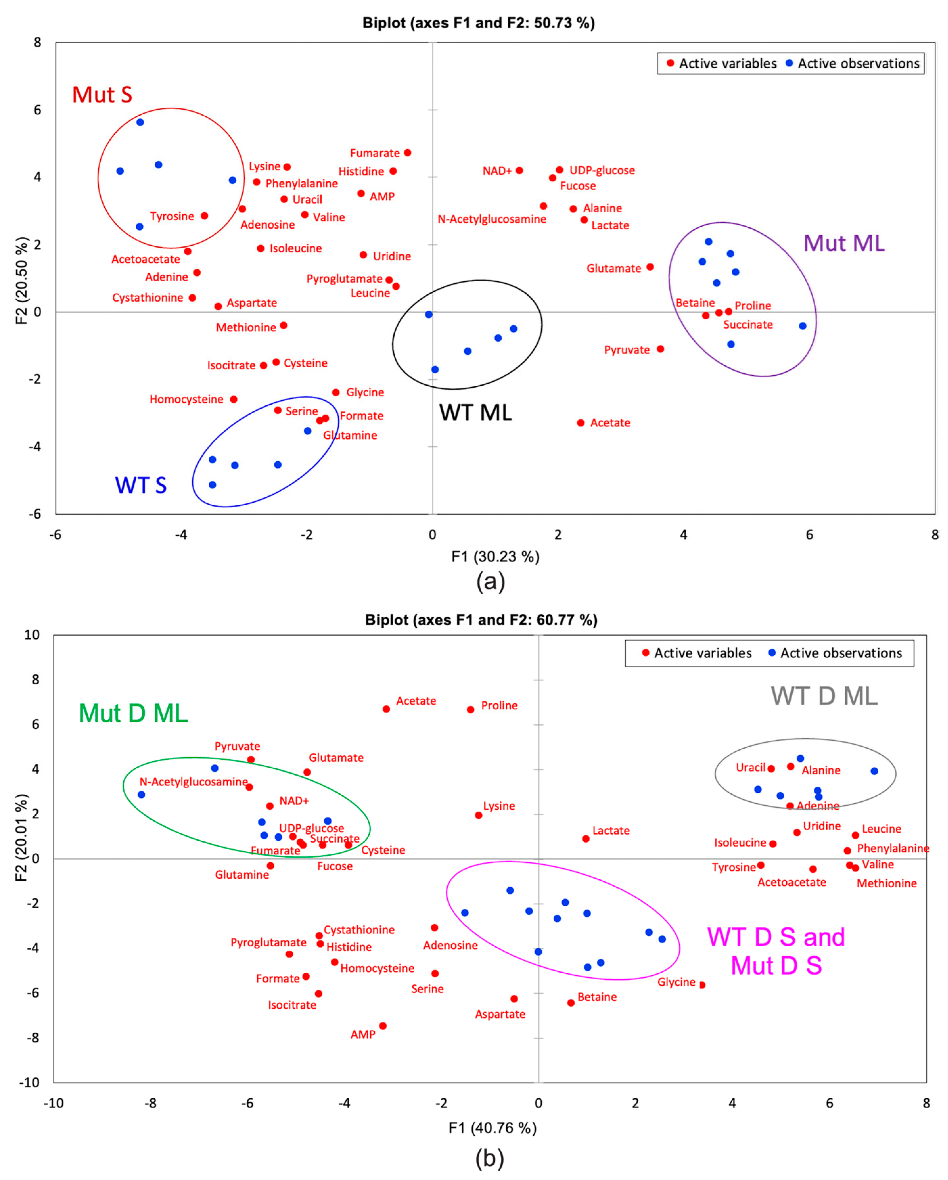 Ijms 22 13606 g006 550