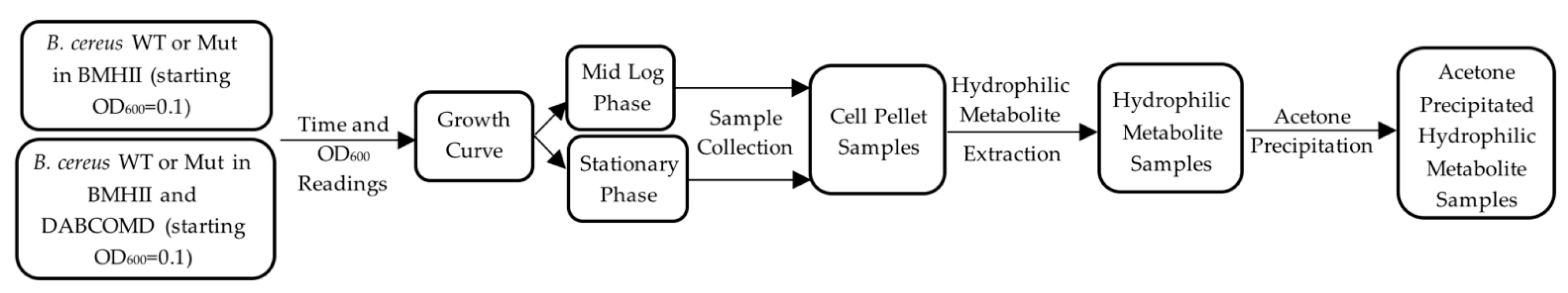 Ijms 22 13606 g008 550