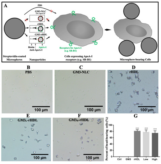 Enhanced Anti-Atherosclerotic Efficacy of pH-Responsively