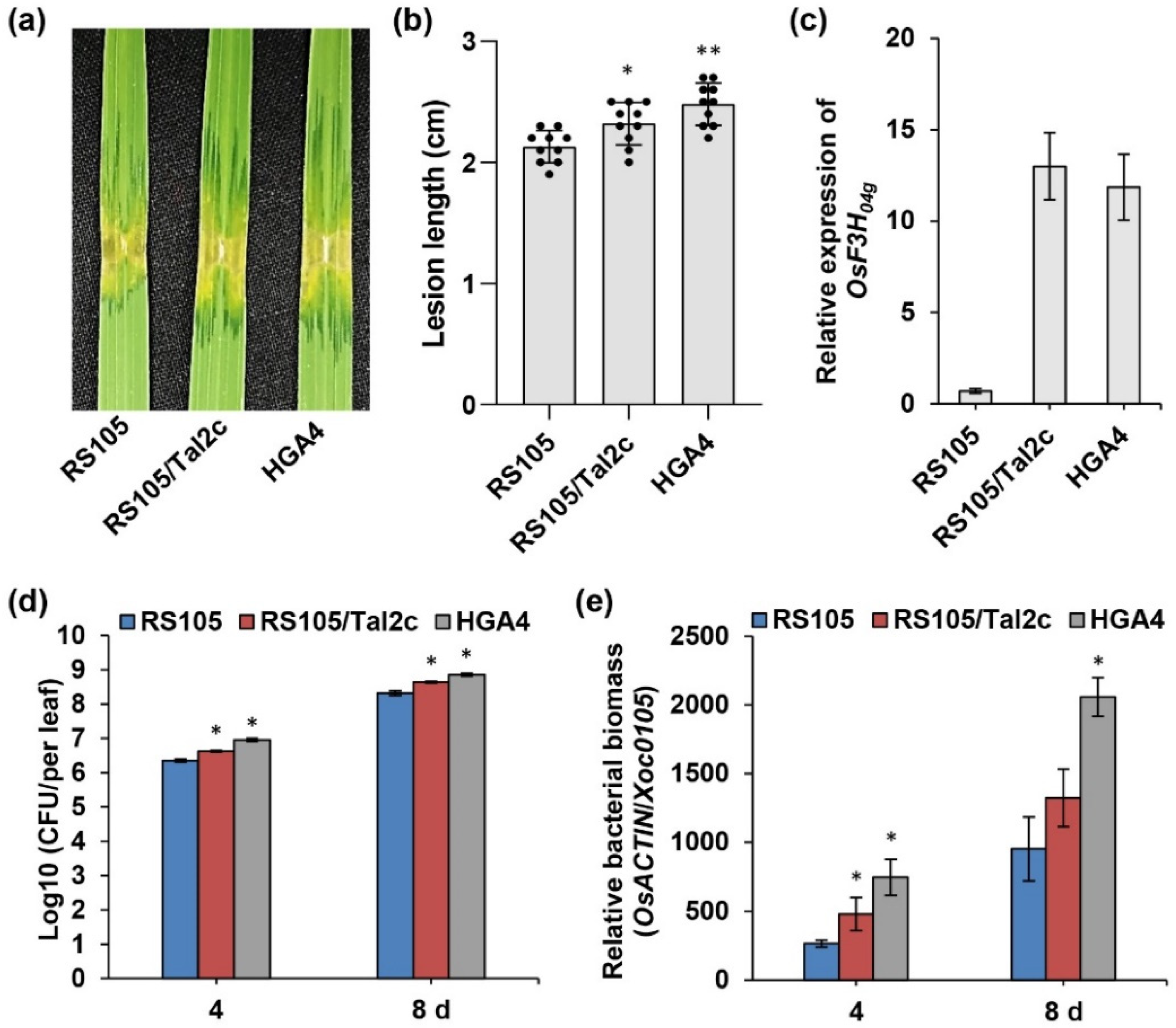 Ijms 22 13628 g001 550