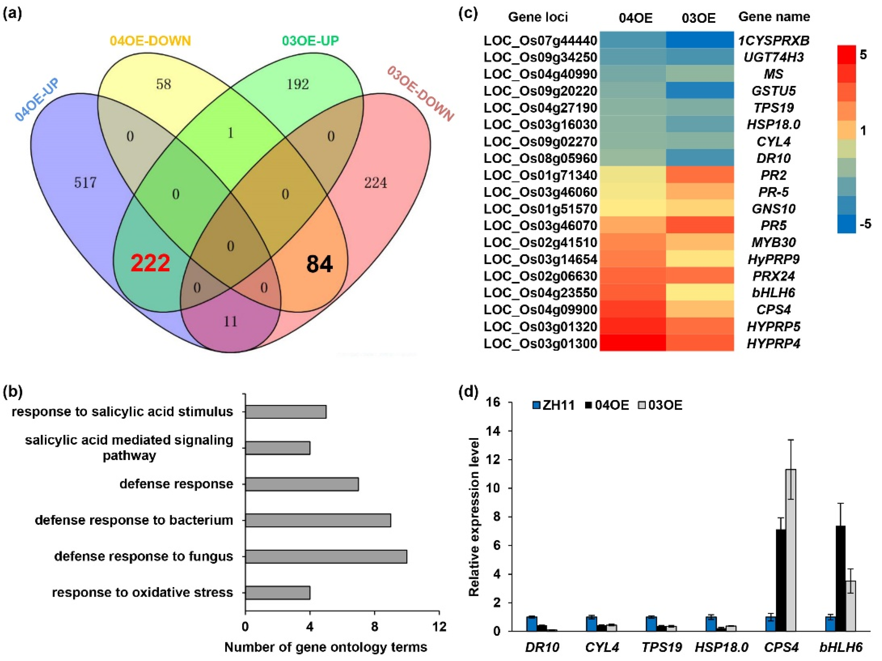 Ijms 22 13628 g006 550