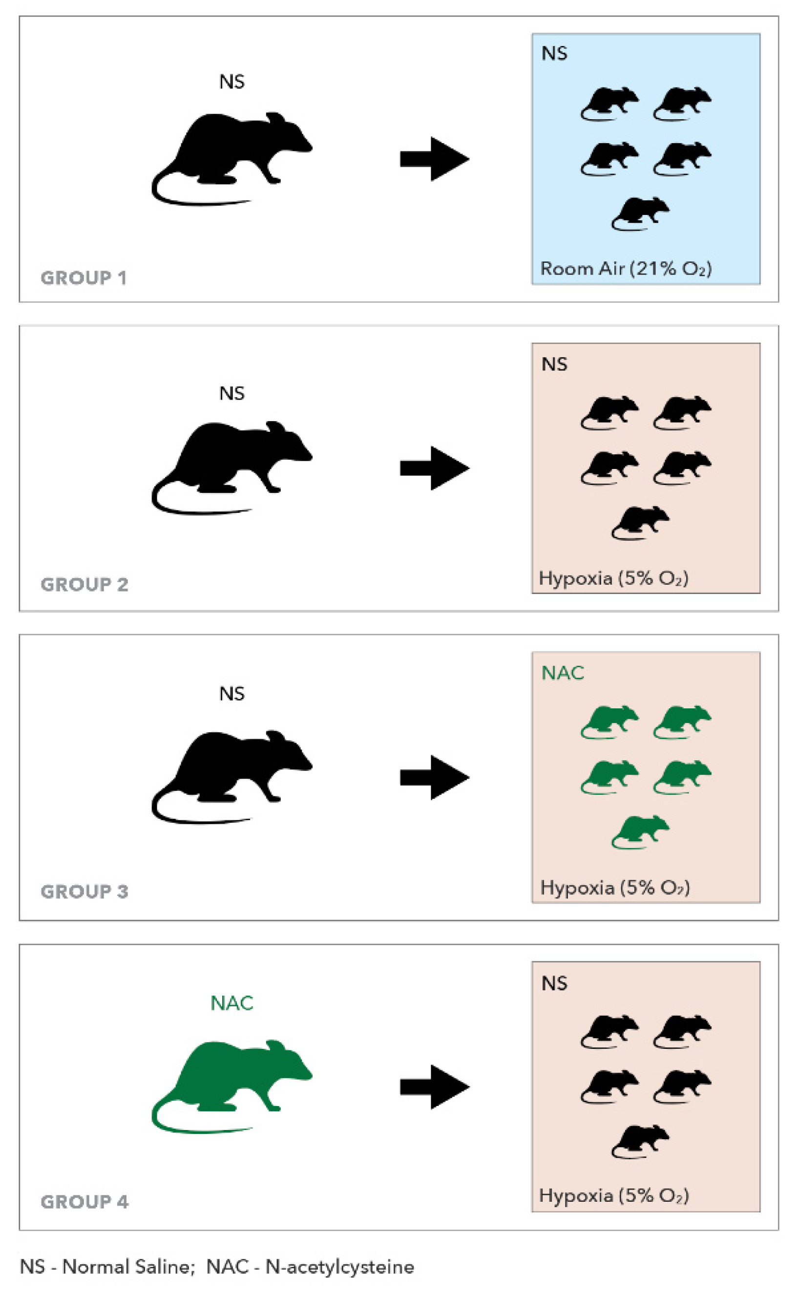 Ijms 22 13629 sch001 Ijms 22 13629 sch001