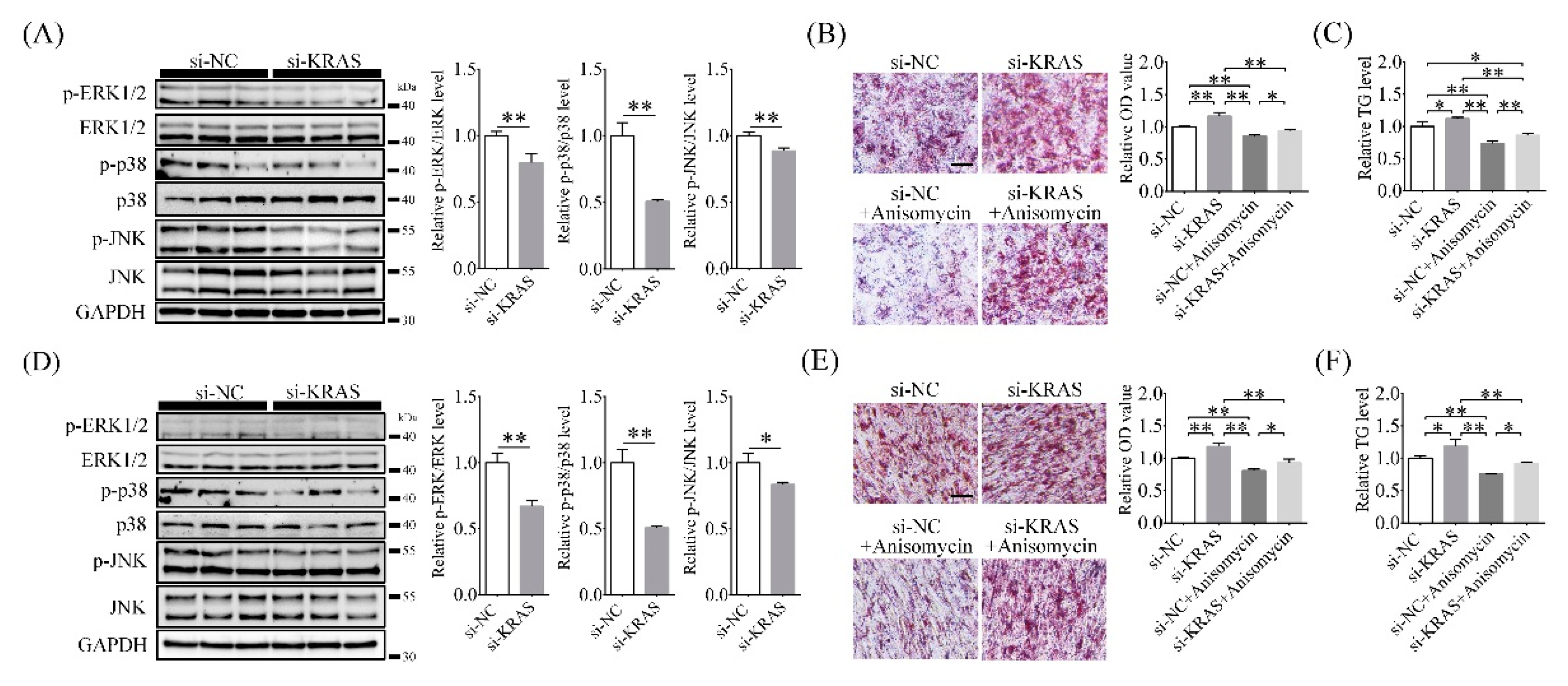 Ijms 22 13630 g006 550
