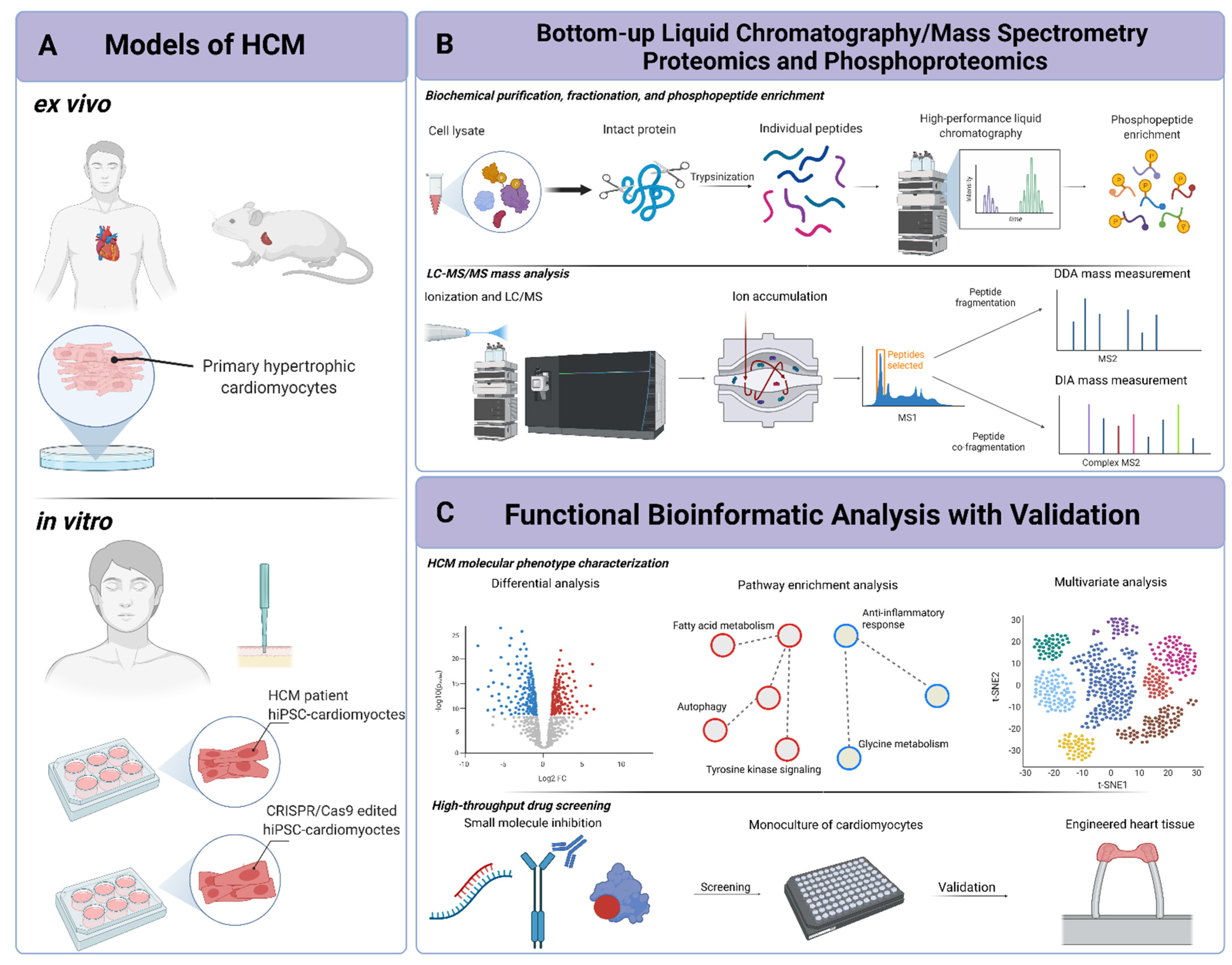 Ijms 22 13644 g001 550