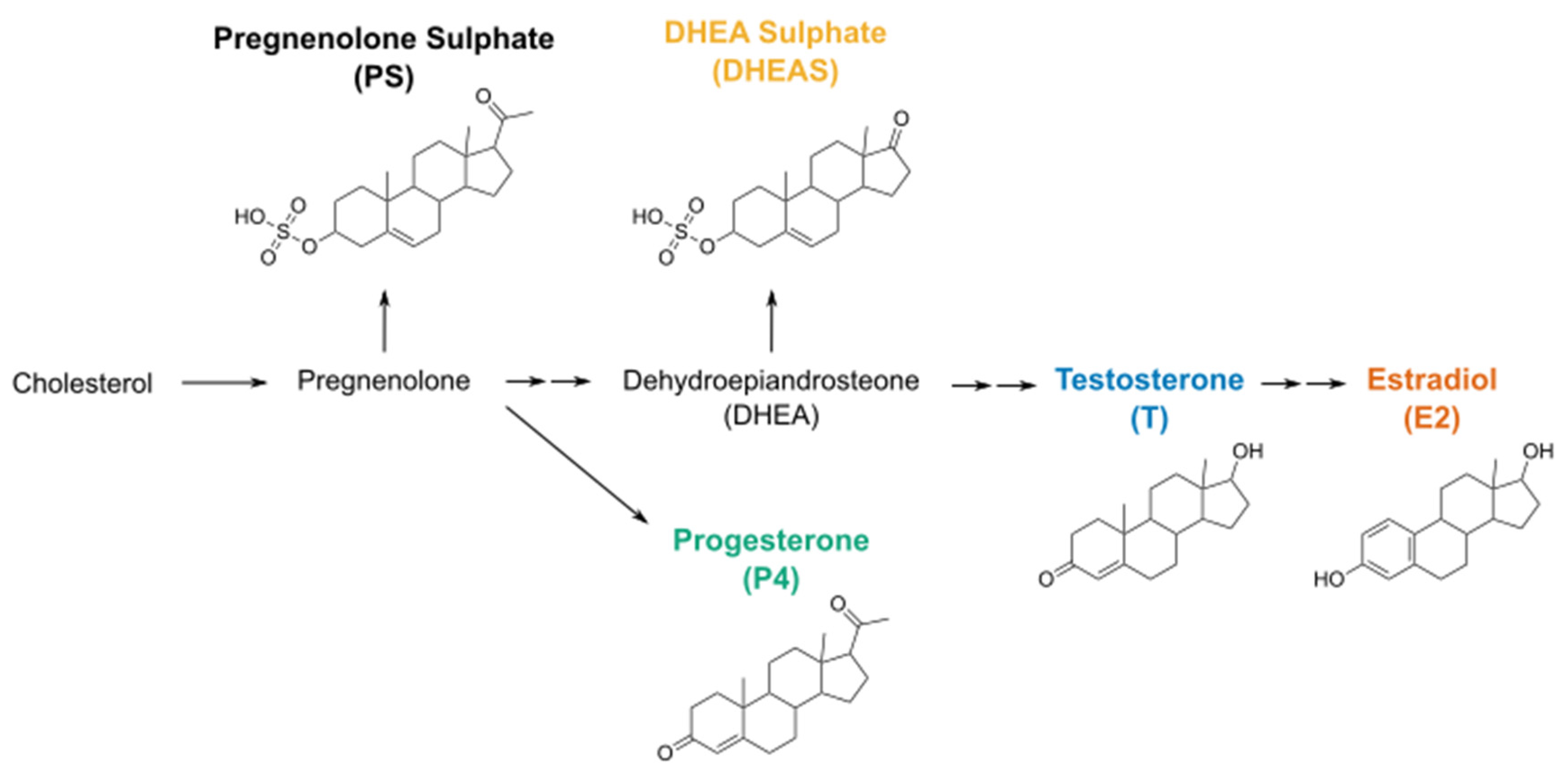 Ijms 22 13652 g001 550