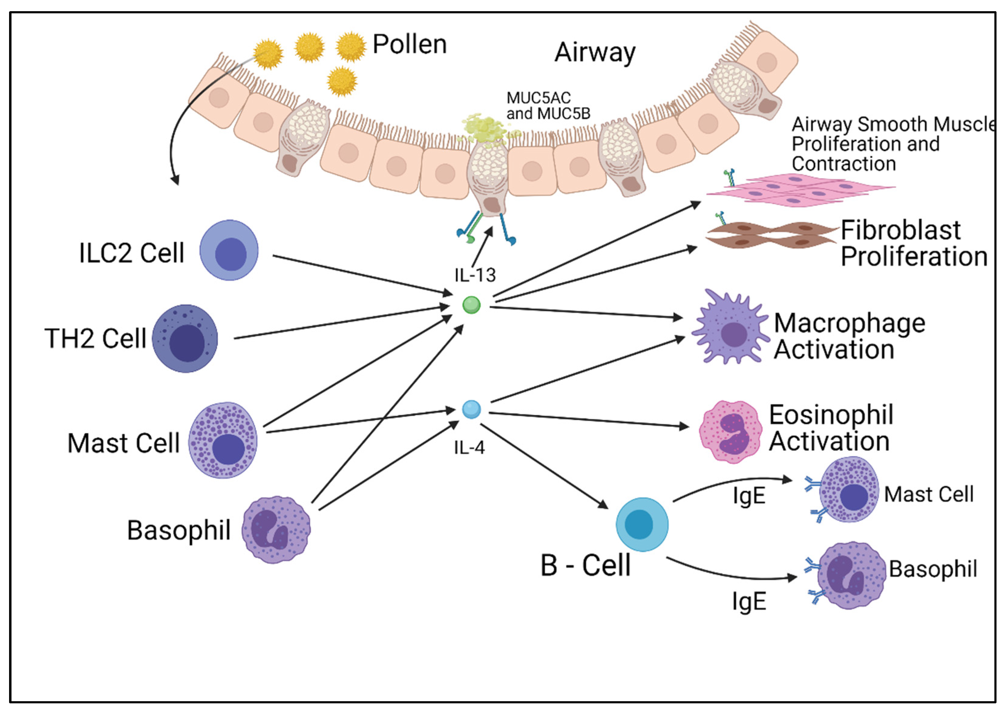 Ijms 22 13655 g001 550