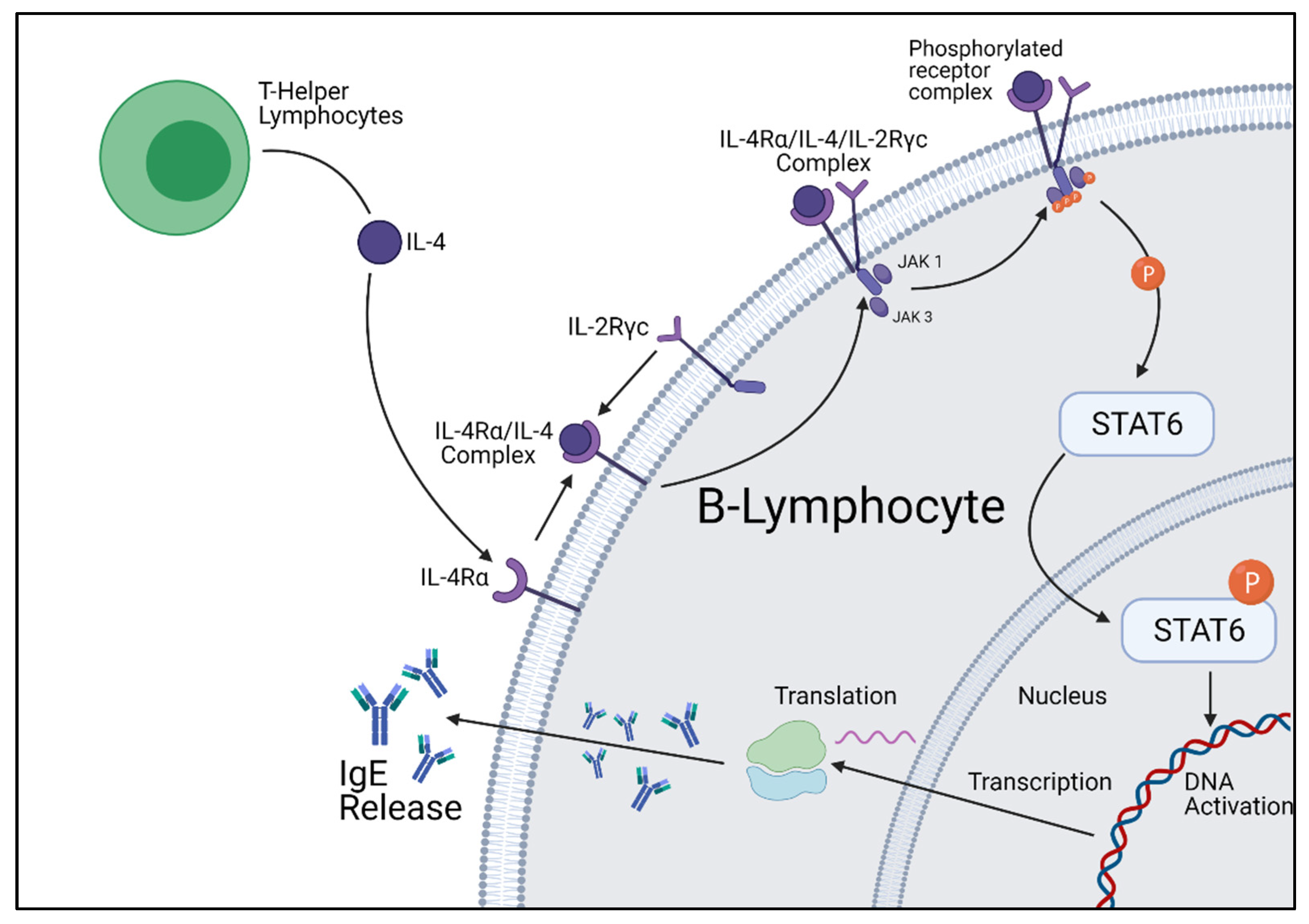 Ijms 22 13655 g002 550