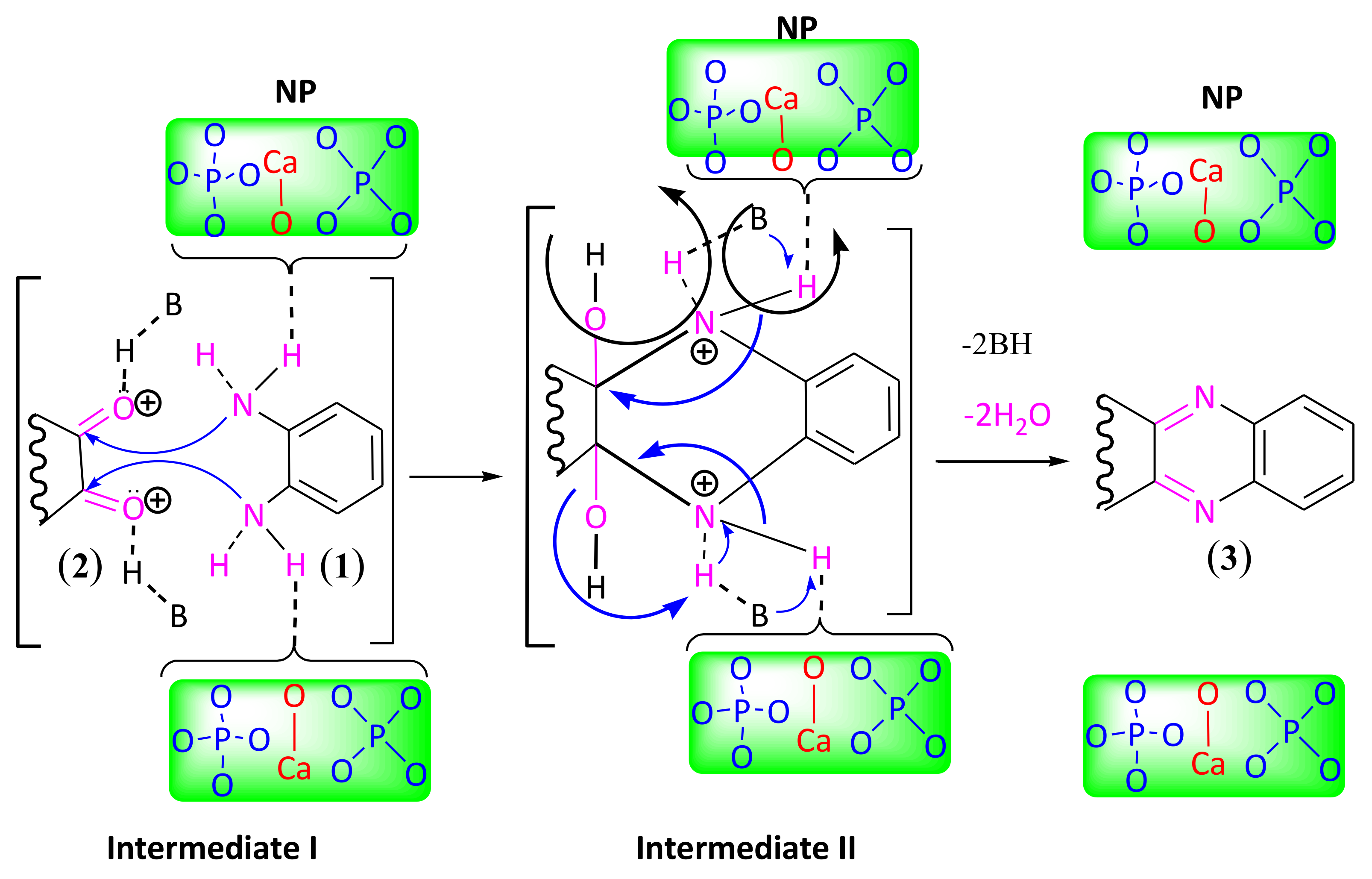 Ijms 22 13665 sch003