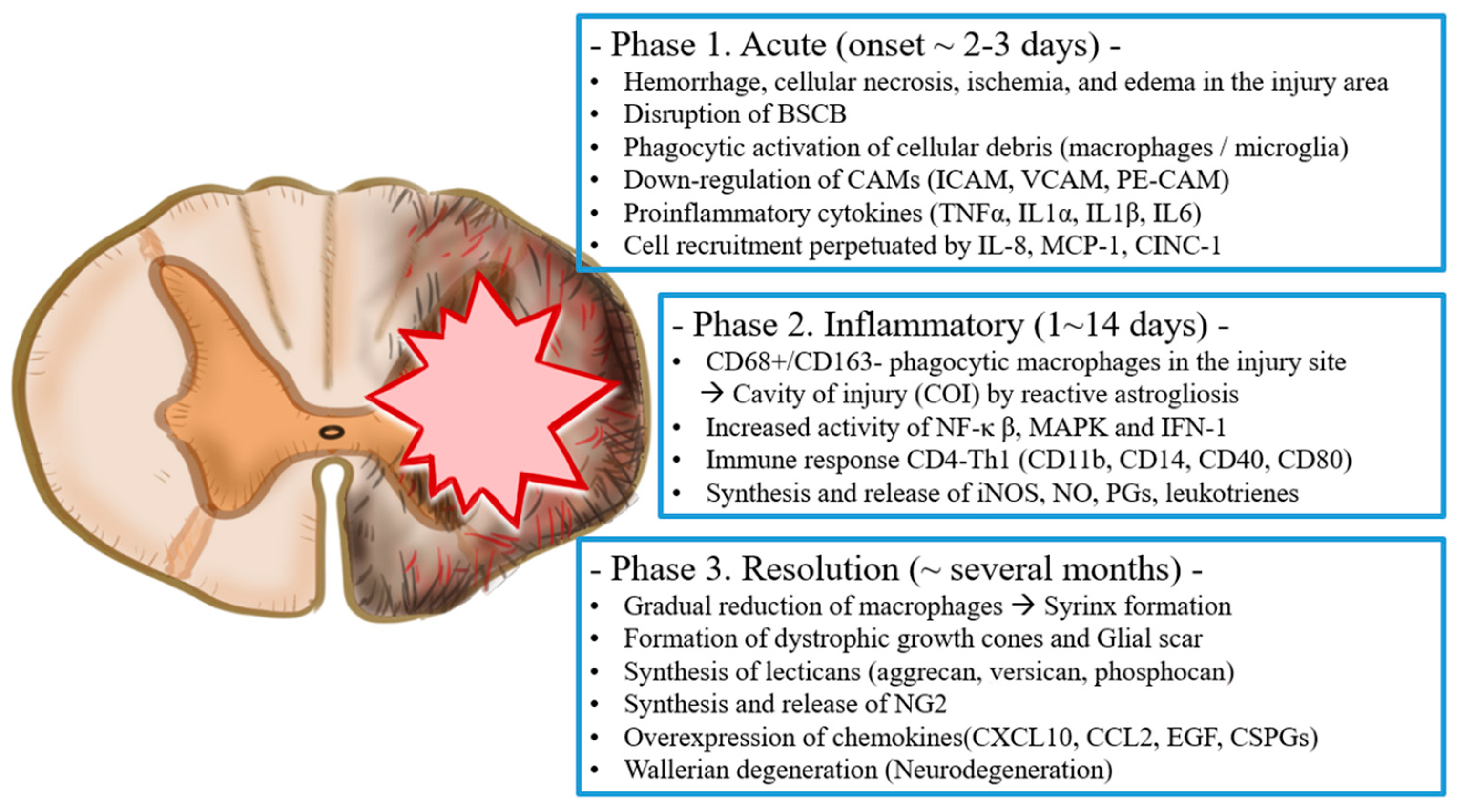 Ijms 22 13672 g001 Ijms 22 13672 g001