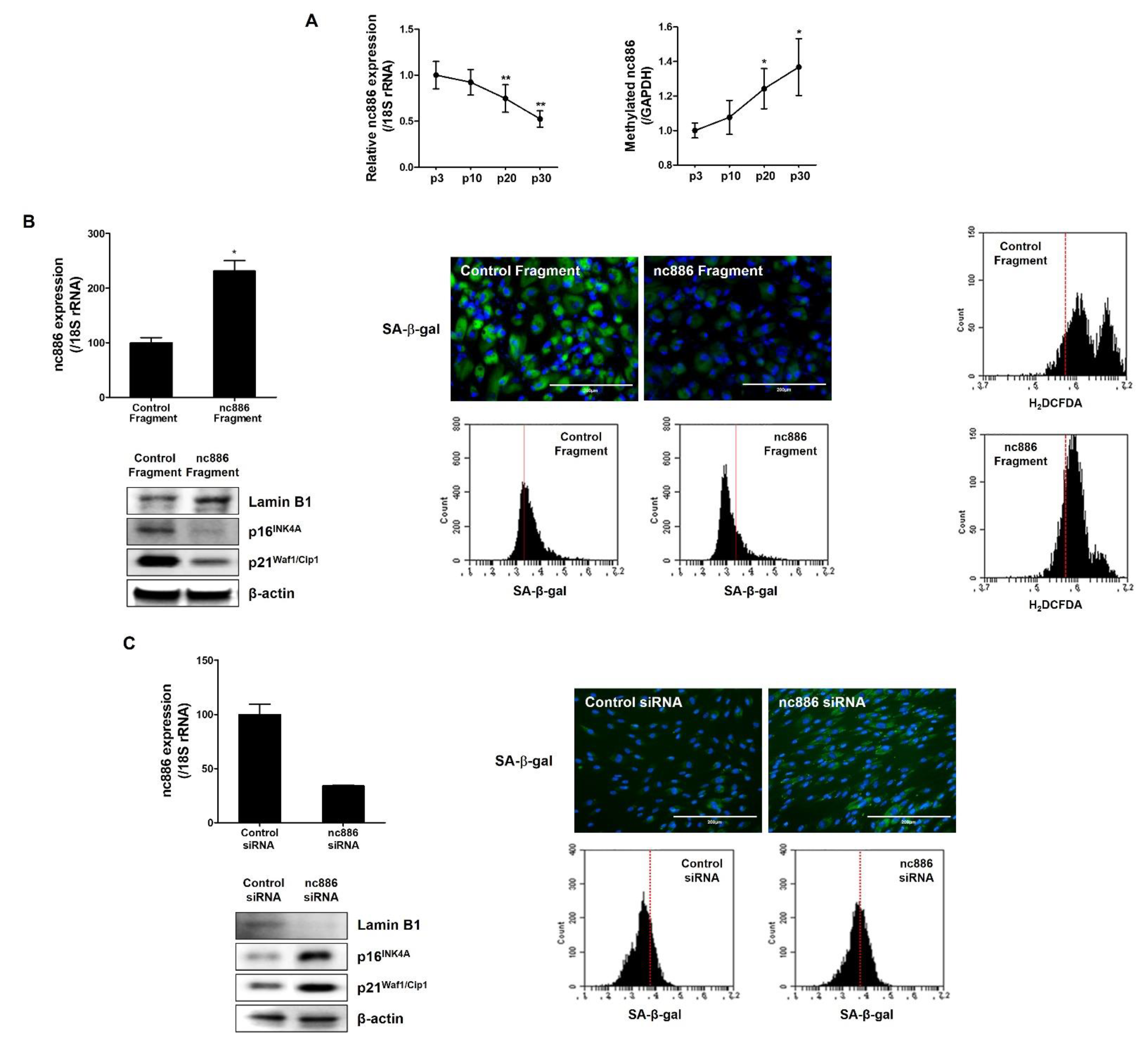 Ijms 22 13673 g002 550