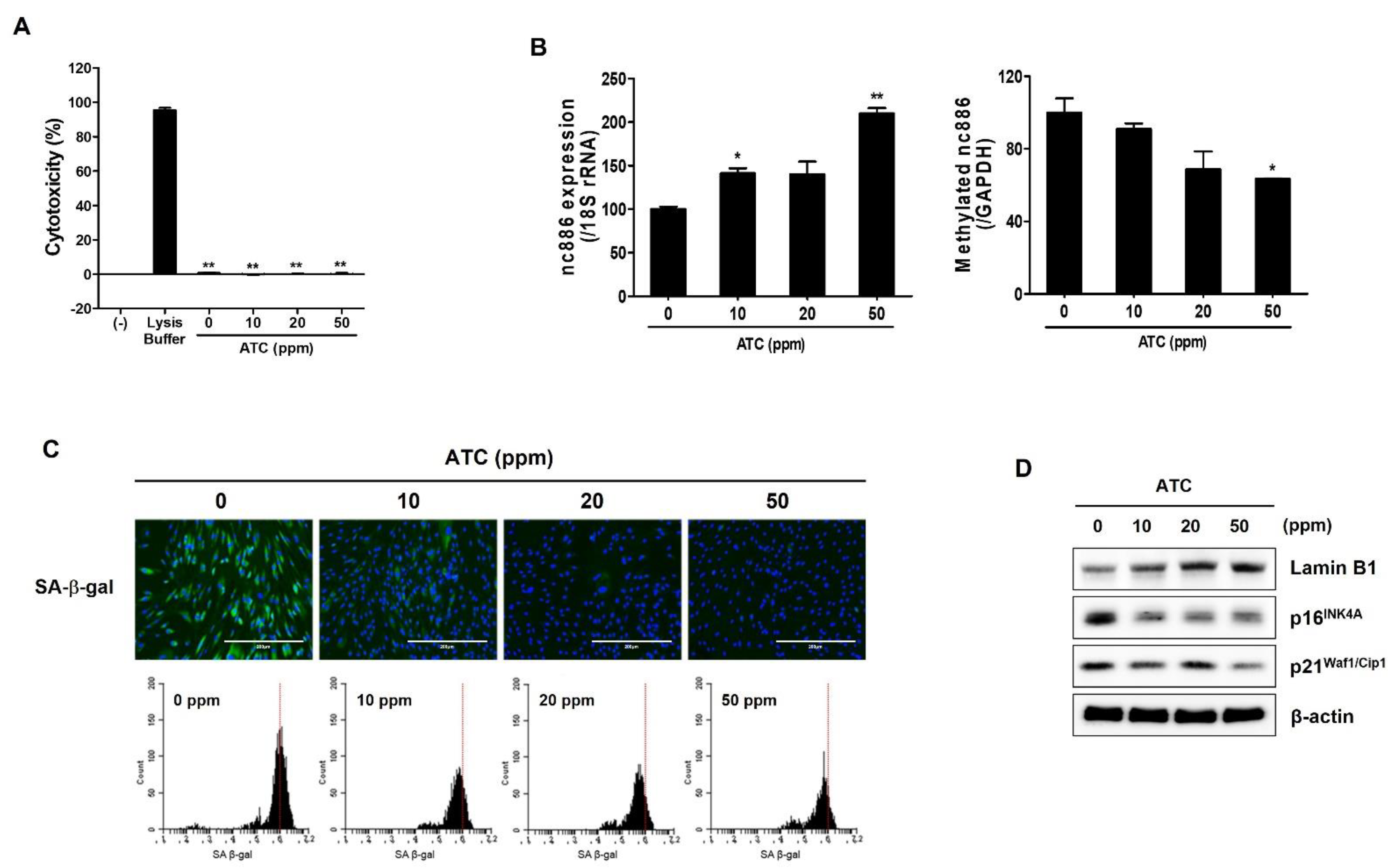Ijms 22 13673 g003 550