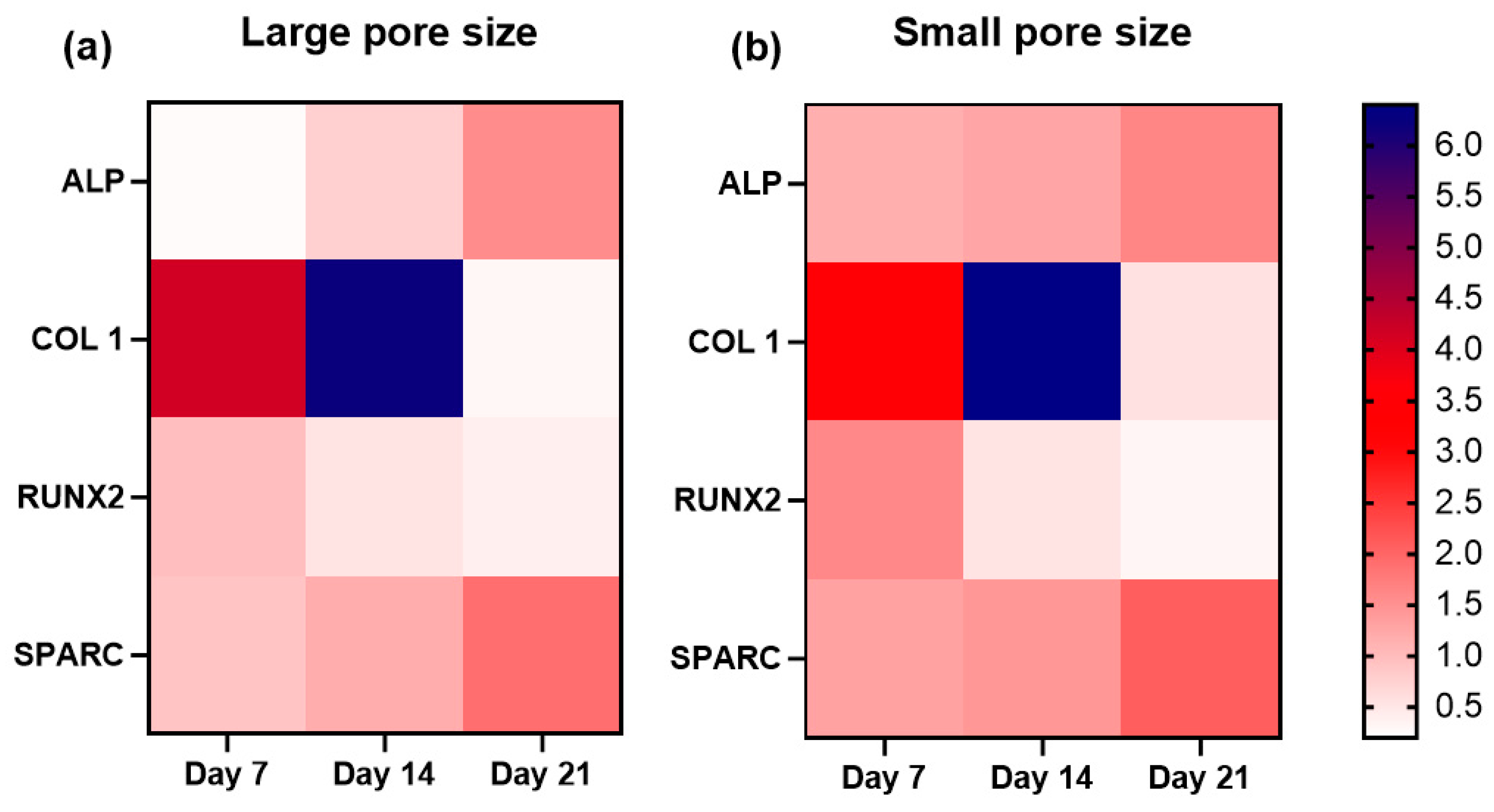 Ijms 22 13676 g008 550
