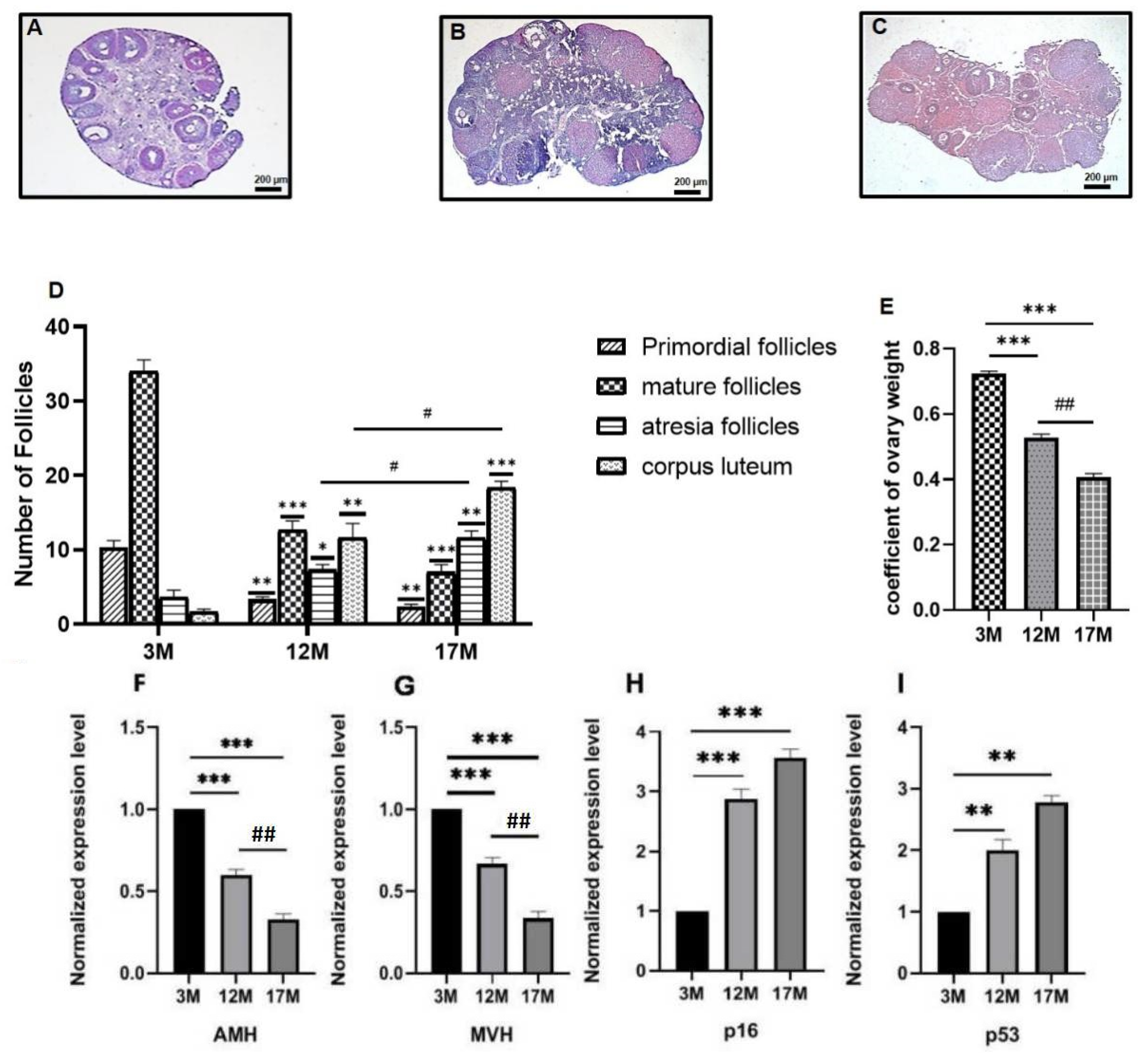 Ijms 23 00002 g001 550