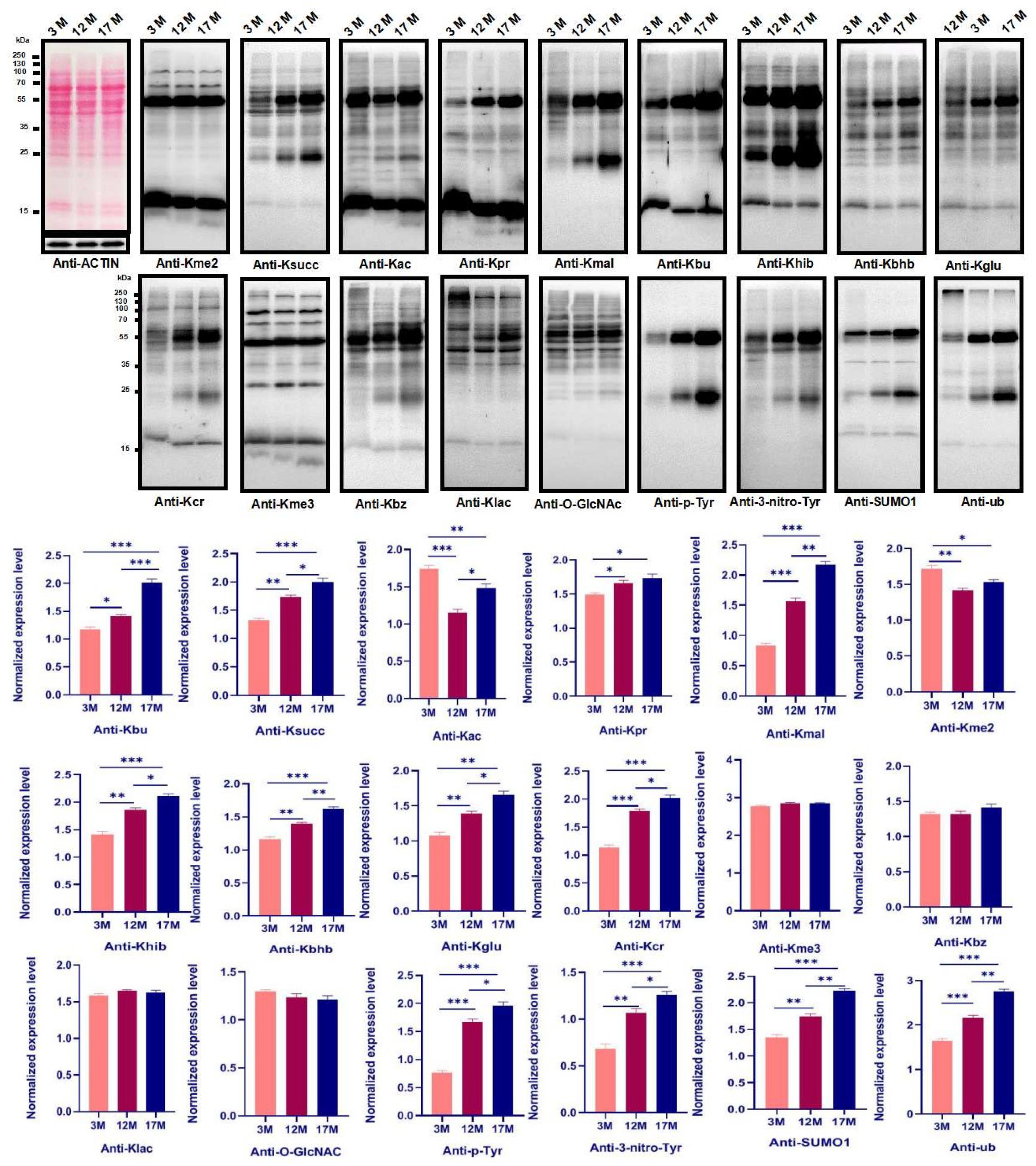 Ijms 23 00002 g002 550