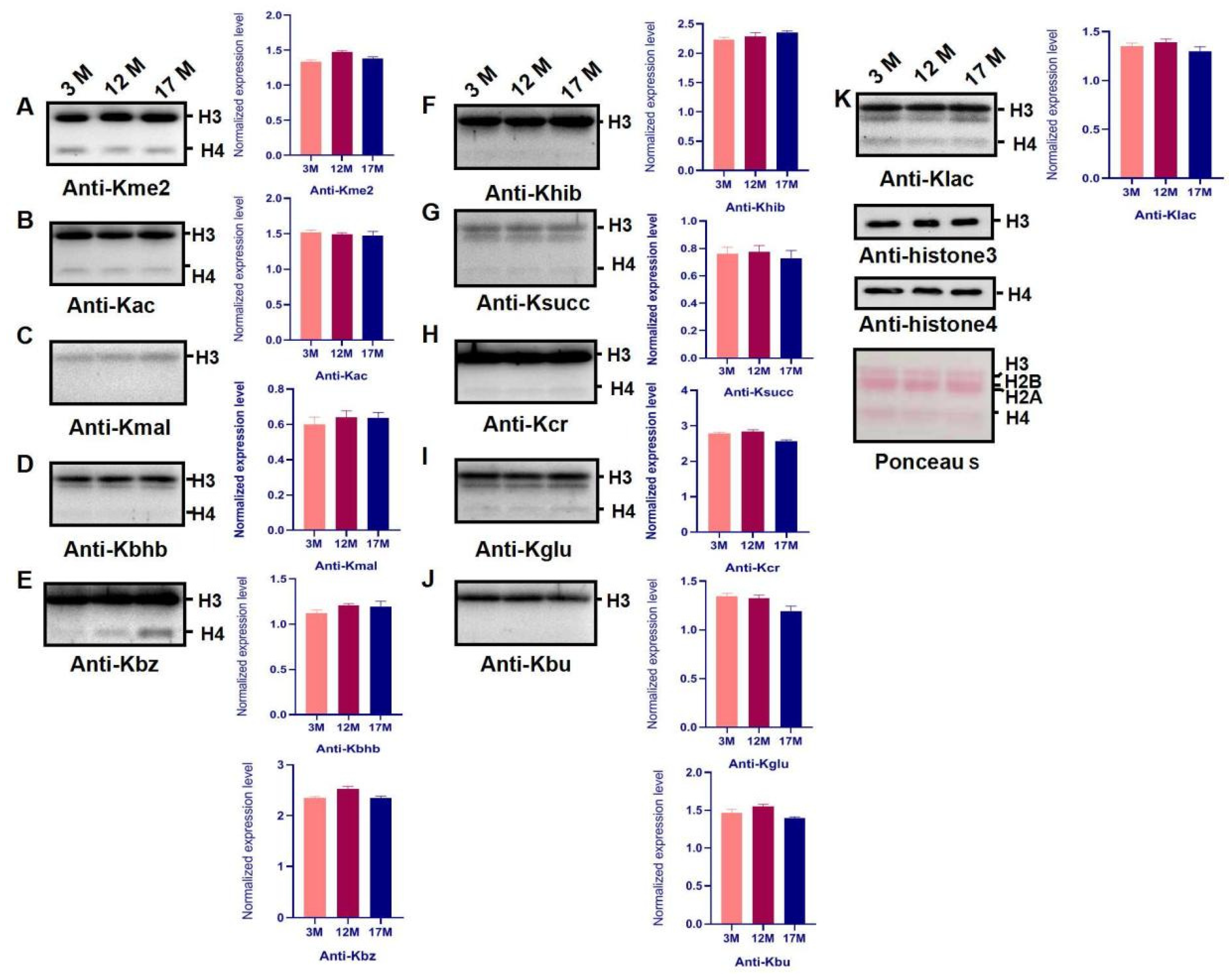 Ijms 23 00002 g004 550
