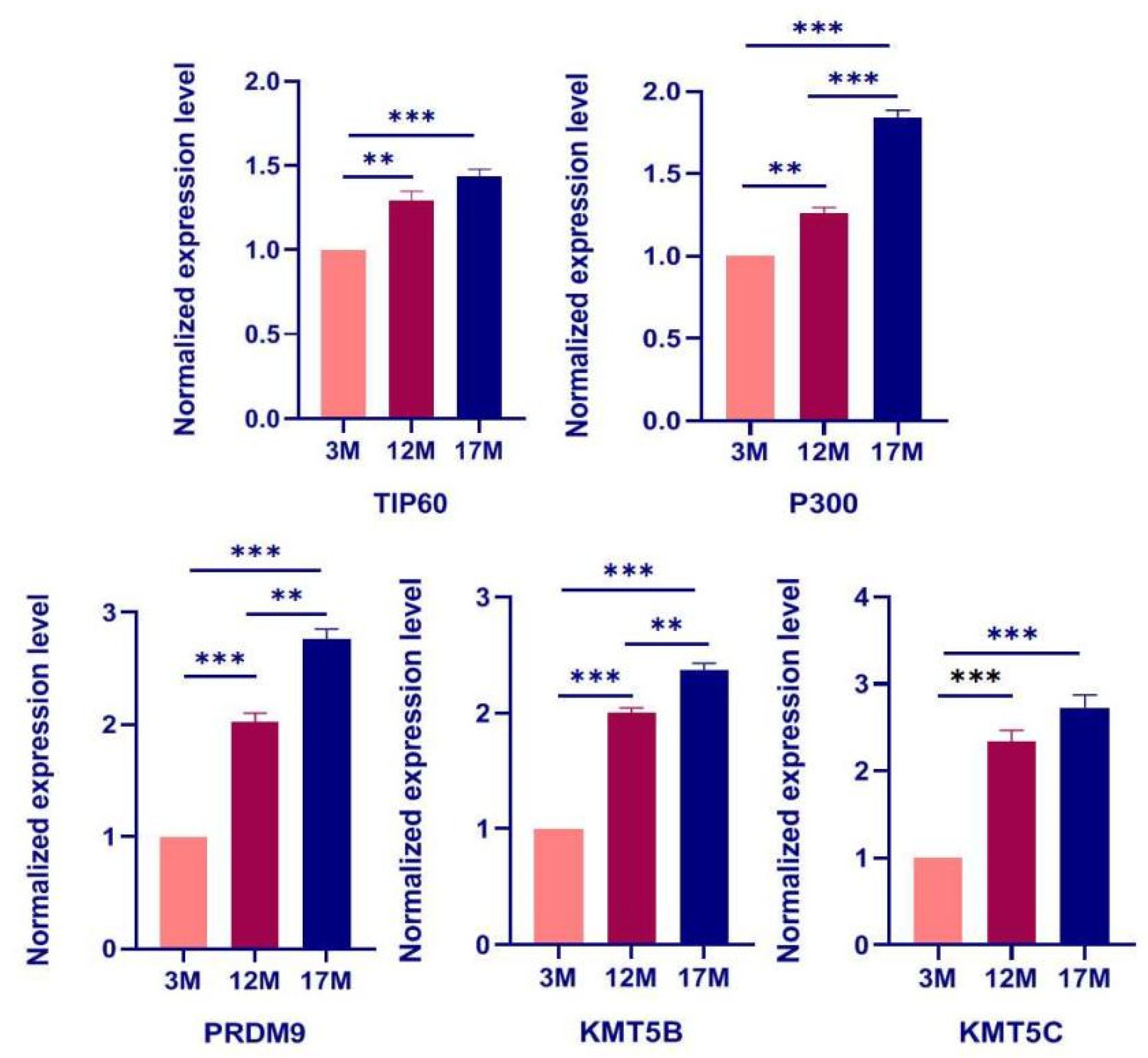 Ijms 23 00002 g005 550