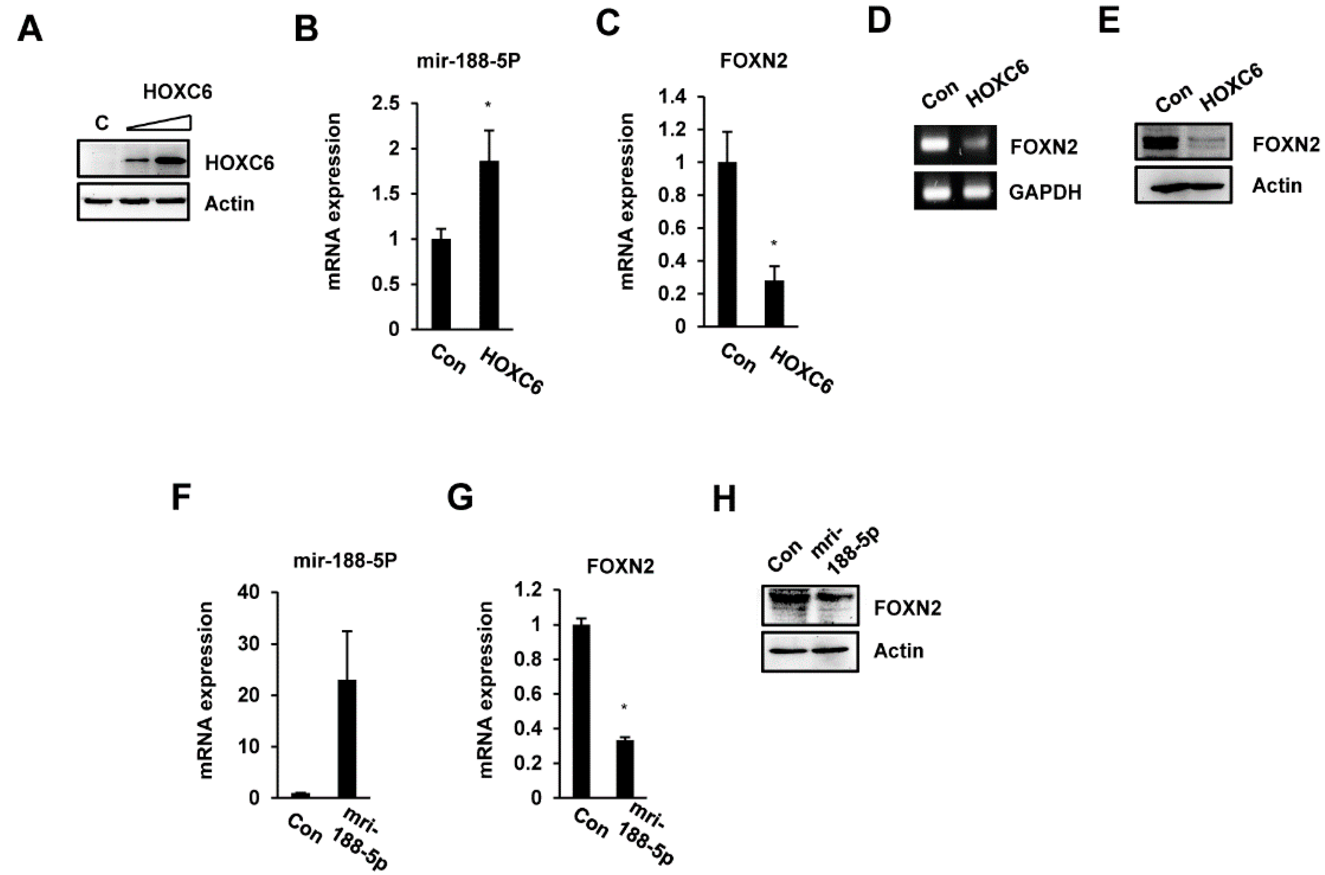 Ijms 23 00009 g004 Ijms 23 00009 g004