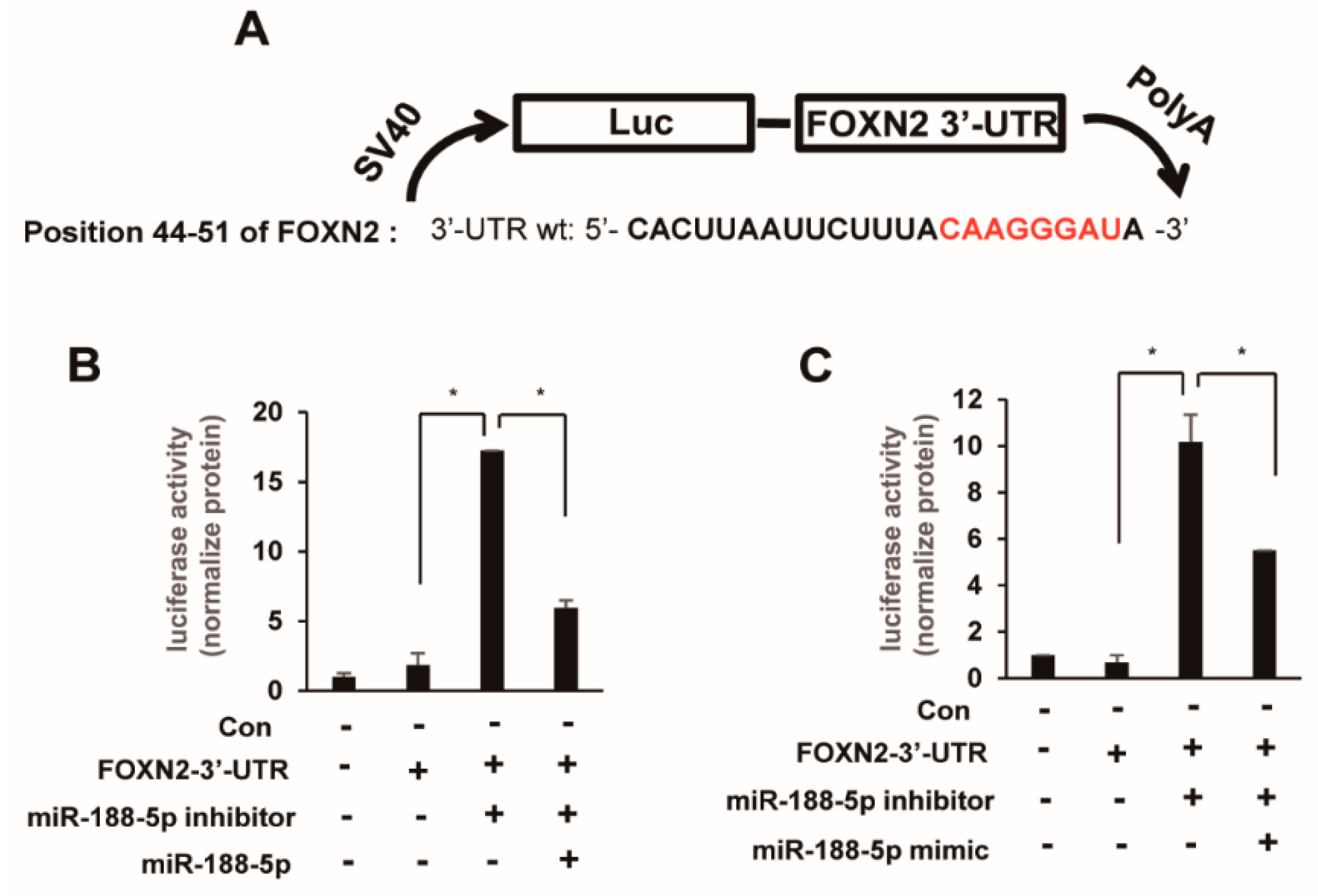 Ijms 23 00009 g005 Ijms 23 00009 g005