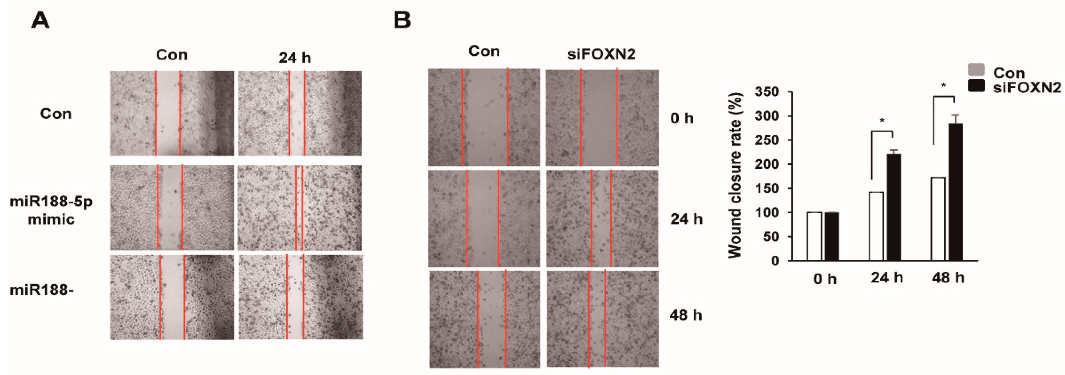 Ijms 23 00009 g006 Ijms 23 00009 g006