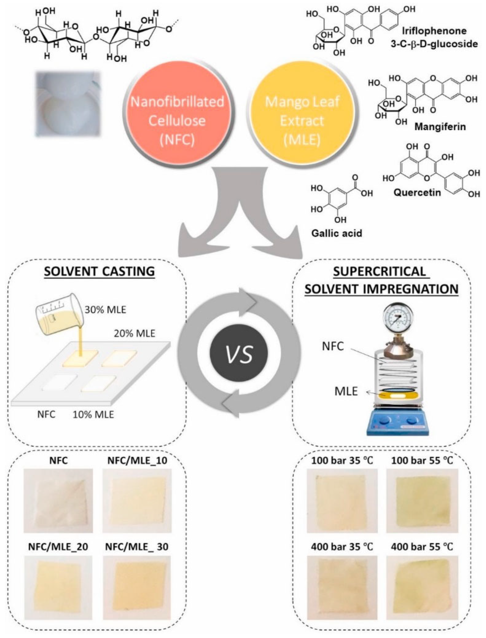 Ijms 23 00012 g002 Ijms 23 00012 g002