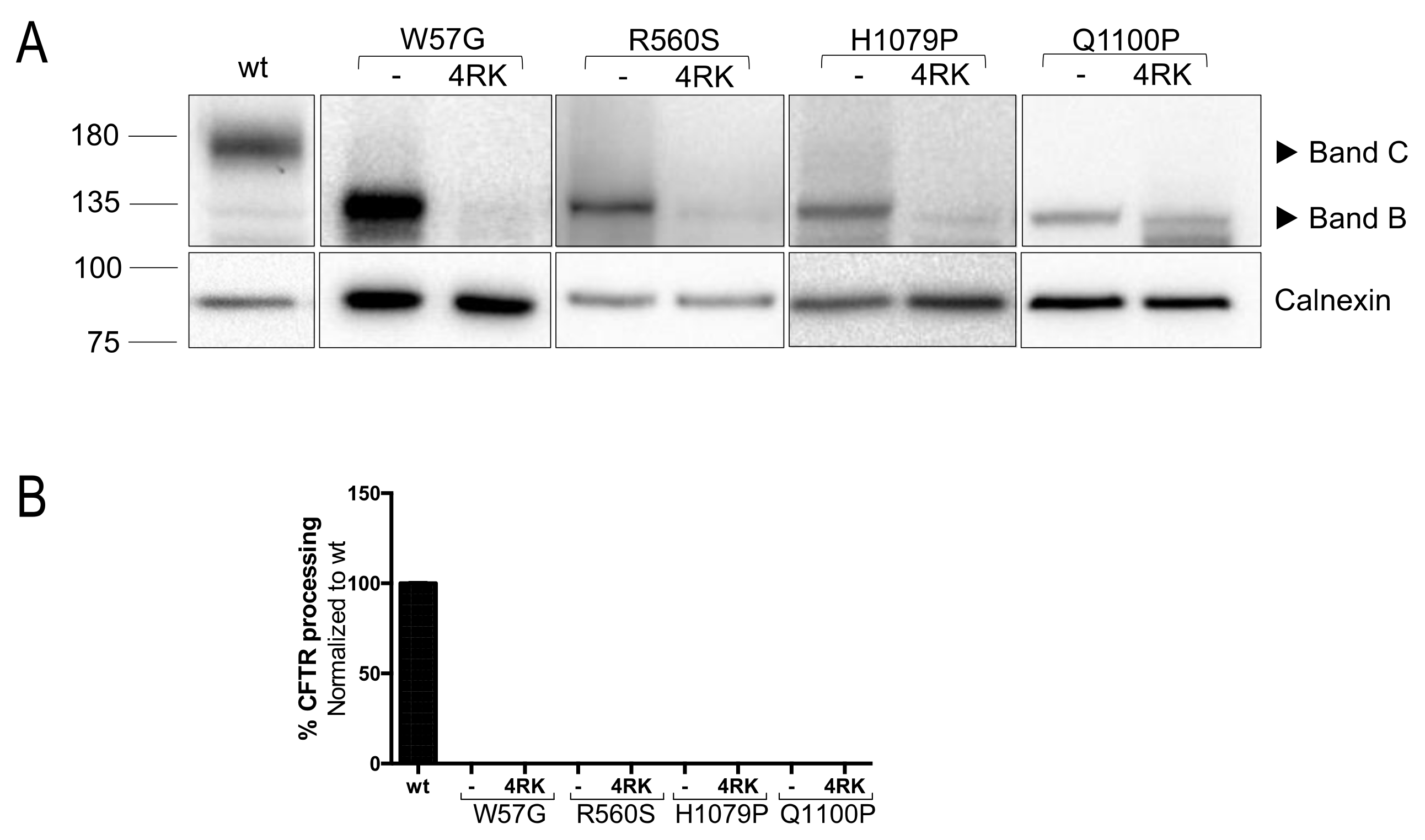 Ijms 23 00024 g004 550