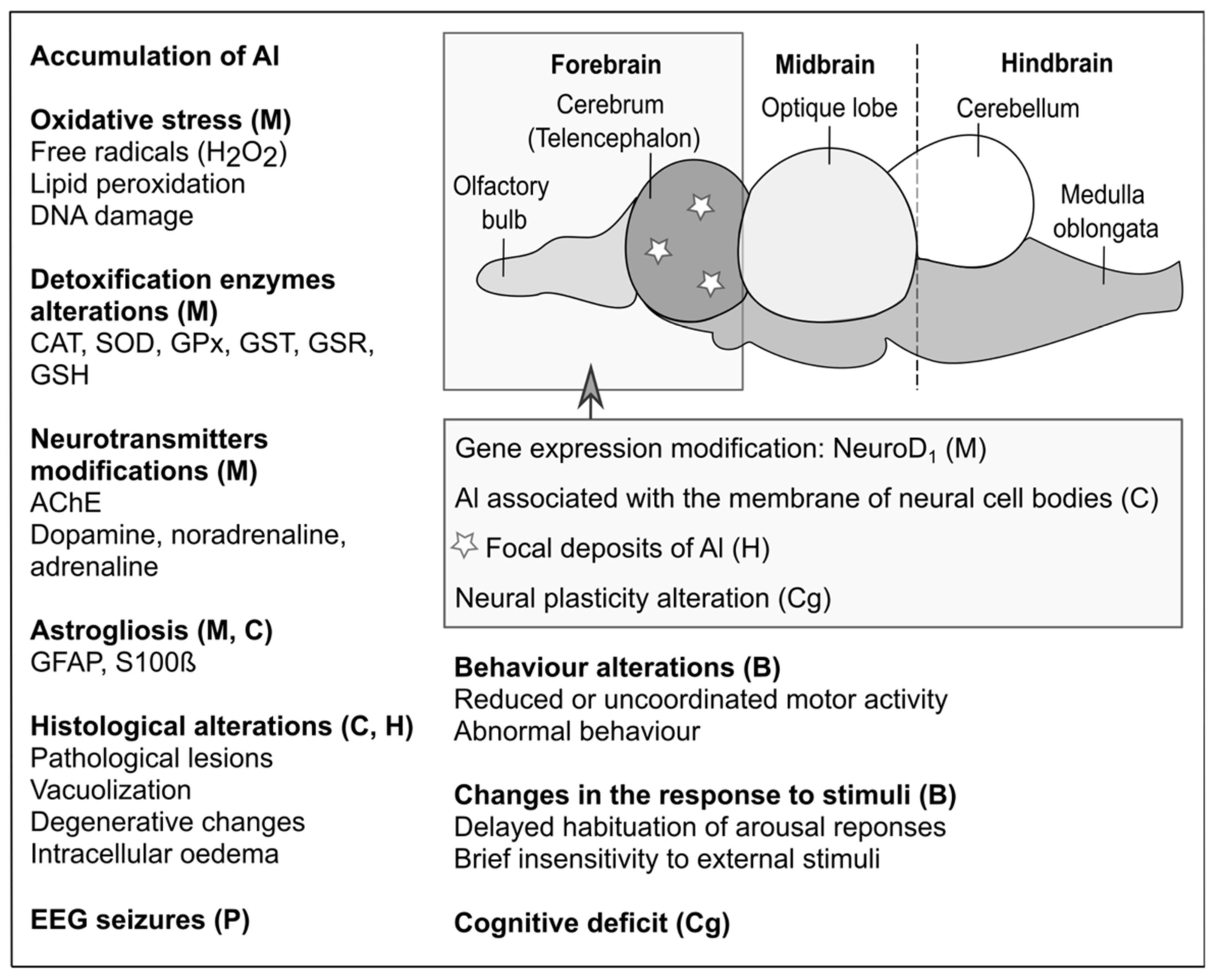 Ijms 23 00031 g001 550