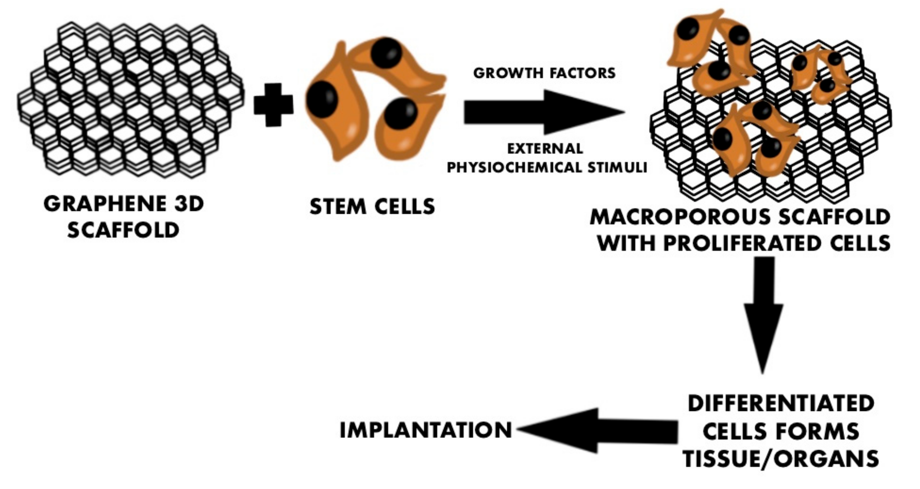 Ijms 23 00033 g001 Ijms 23 00033 g001