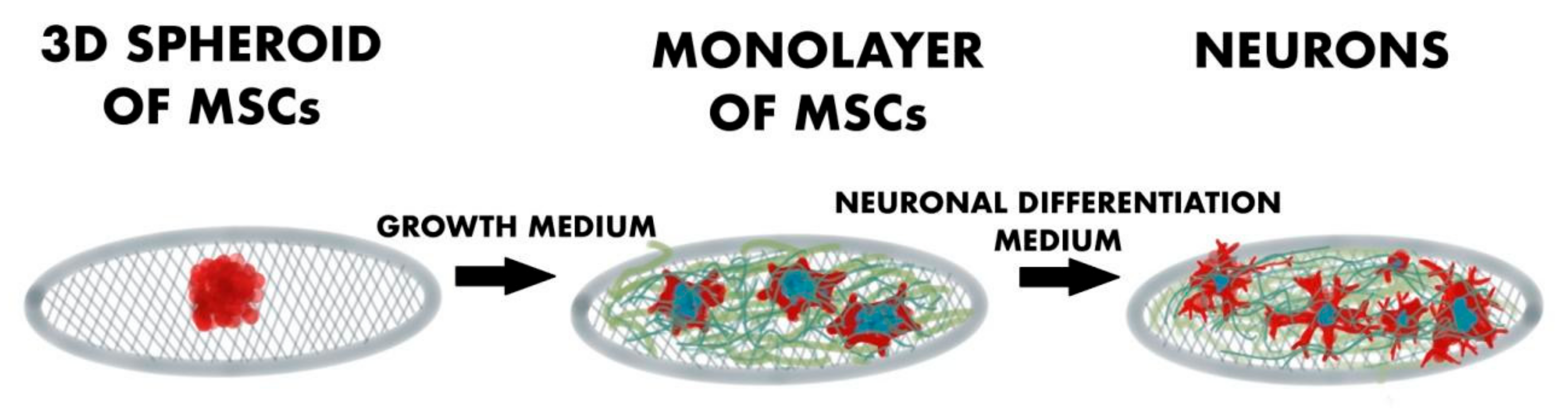 Ijms 23 00033 g002 Ijms 23 00033 g002