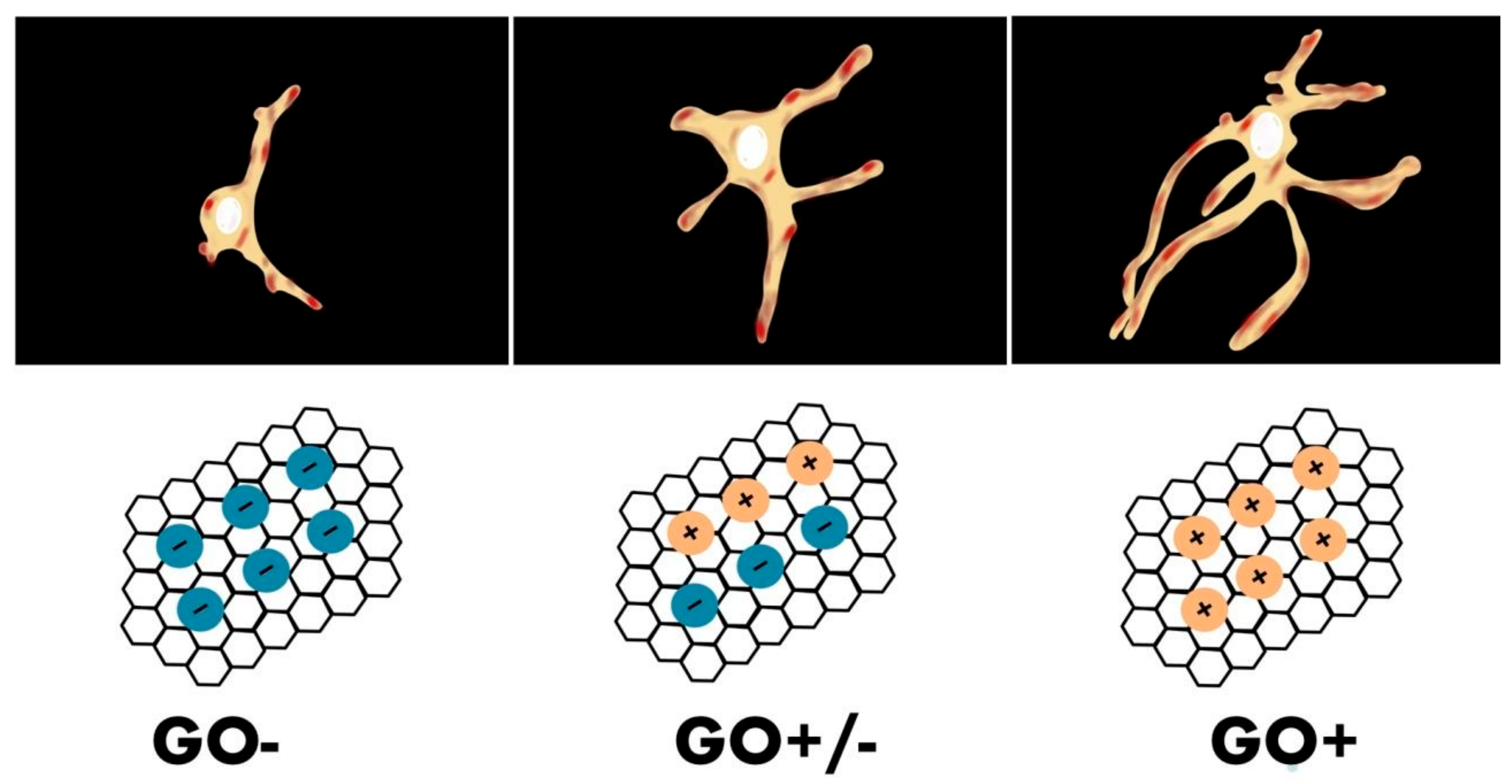 Ijms 23 00033 g004 Ijms 23 00033 g004