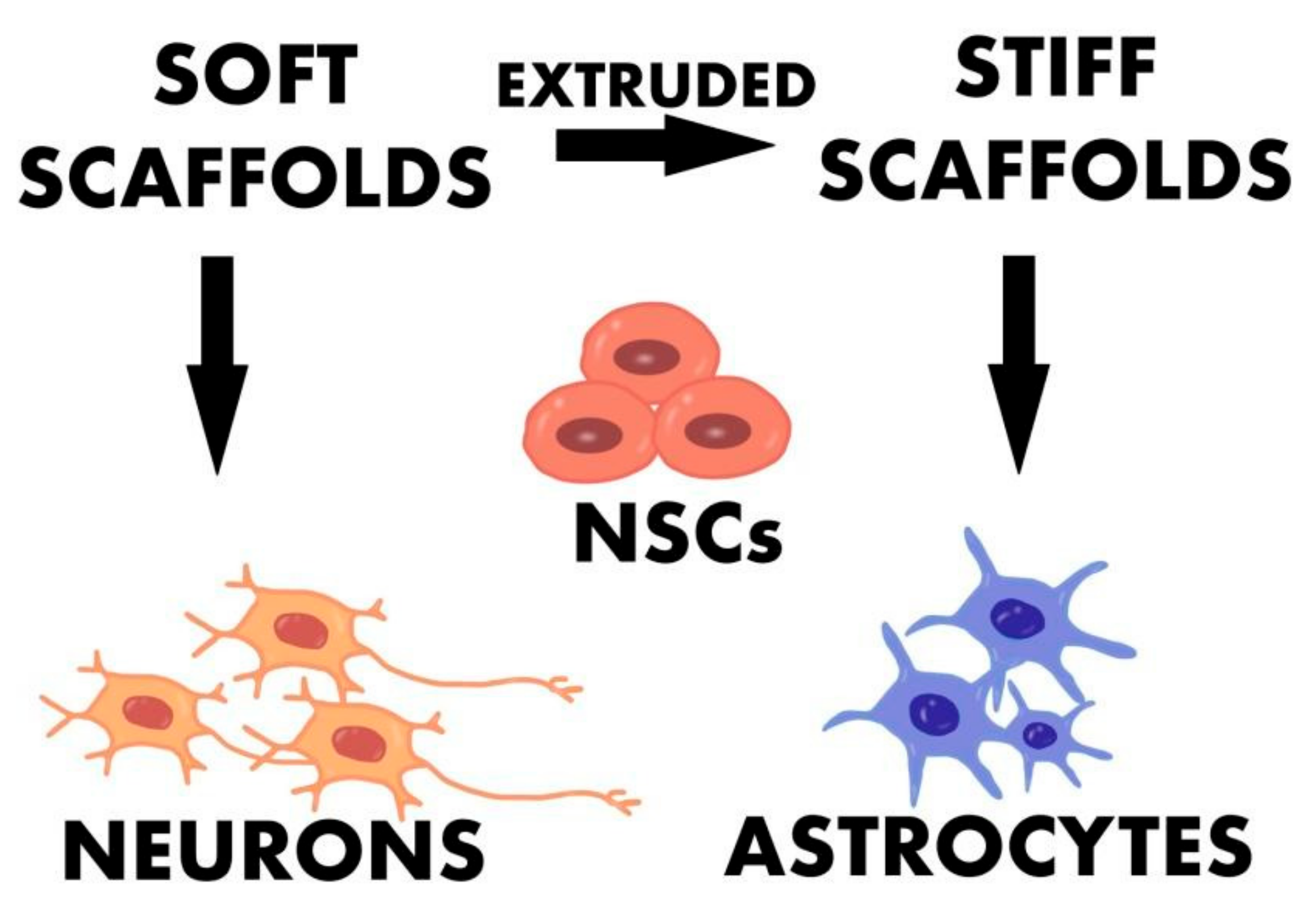 Ijms 23 00033 g005 Ijms 23 00033 g005